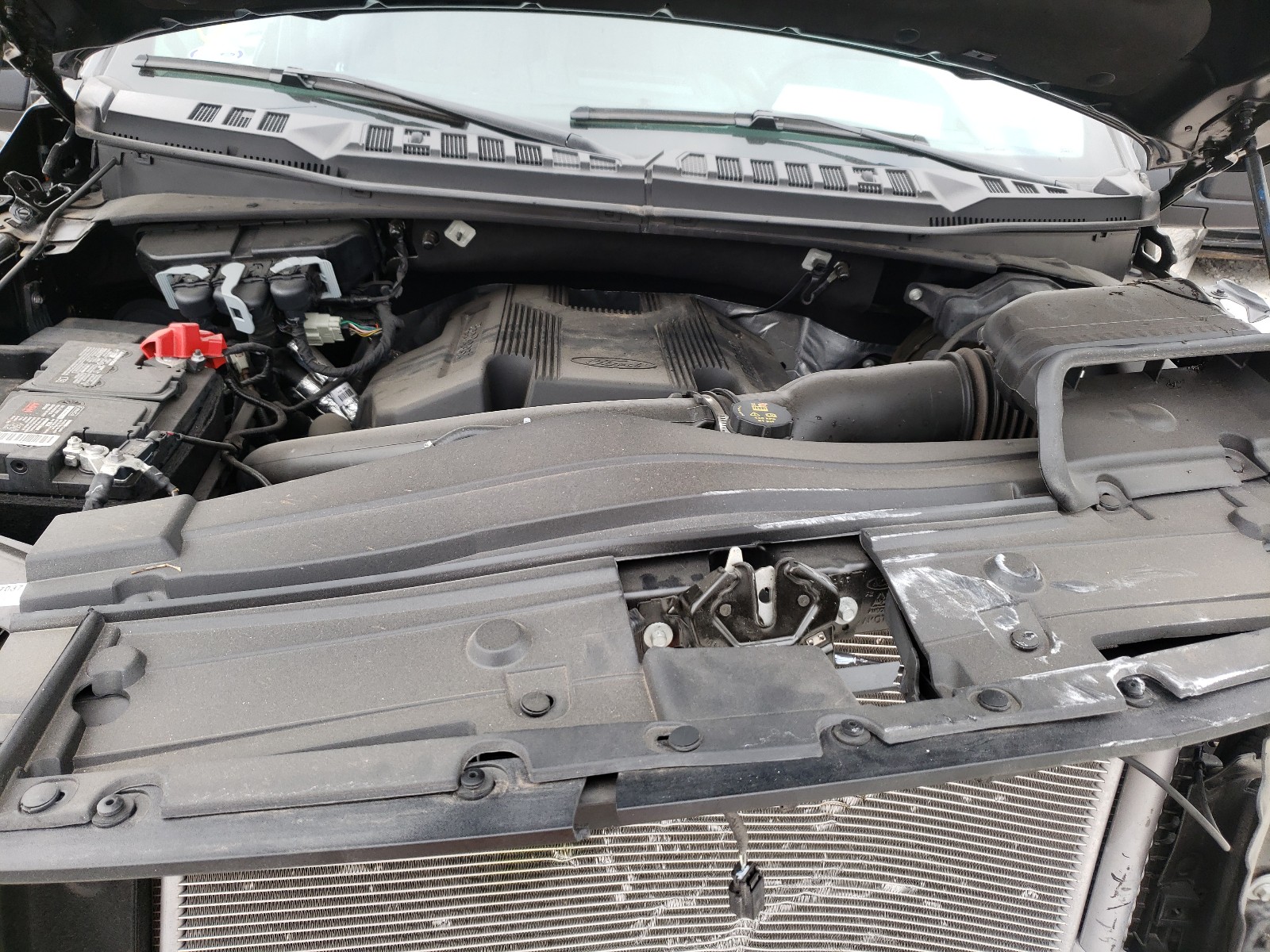 Photo 7 from auction – 2020 FORD F150 SUPER with VIN 1FTEW1E45LKD81892