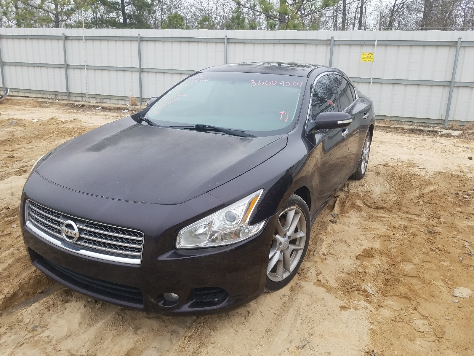 Photo 2 from auction – 2010 NISSAN MAXIMA S with VIN 1N4AA5AP5AC859827