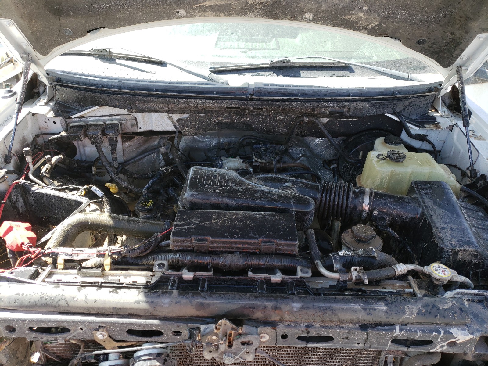 Photo 7 from auction – 2009 FORD F150 with VIN 1FTRF12W19KB06715