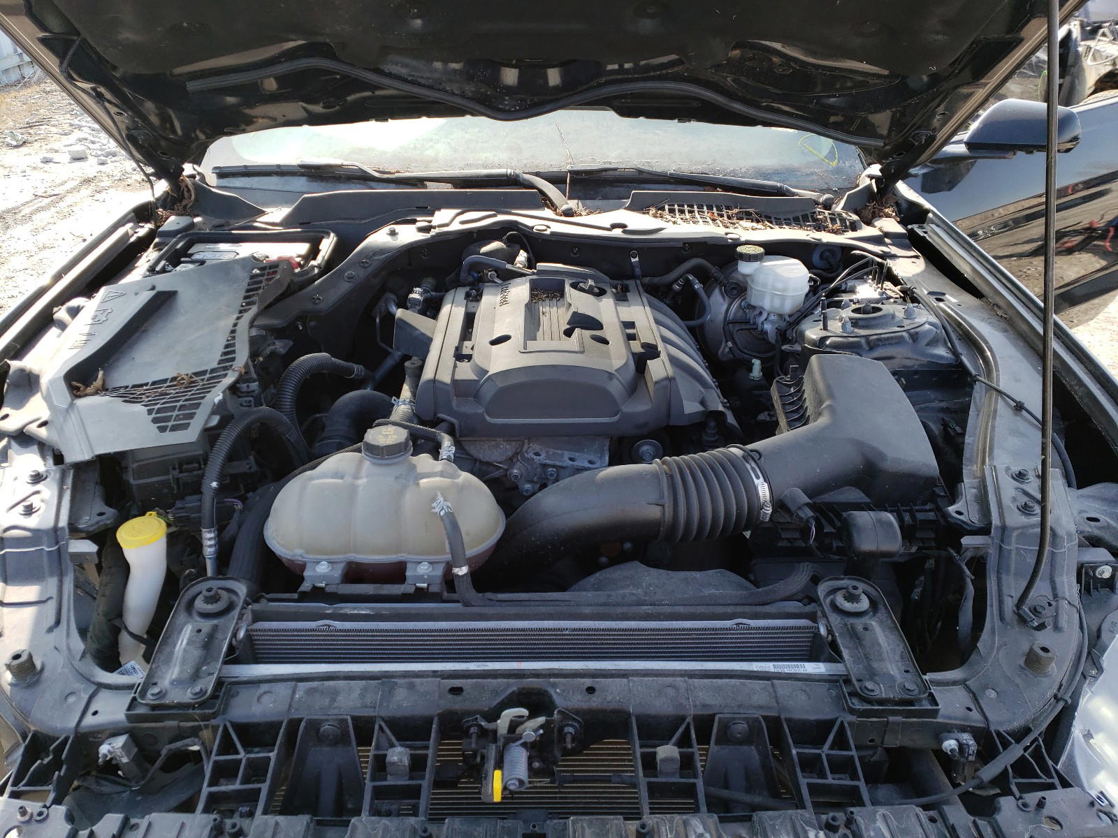 Photo 7 from auction – 2019 FORD MUSTANG with VIN 1FA6P8TH2K5107245