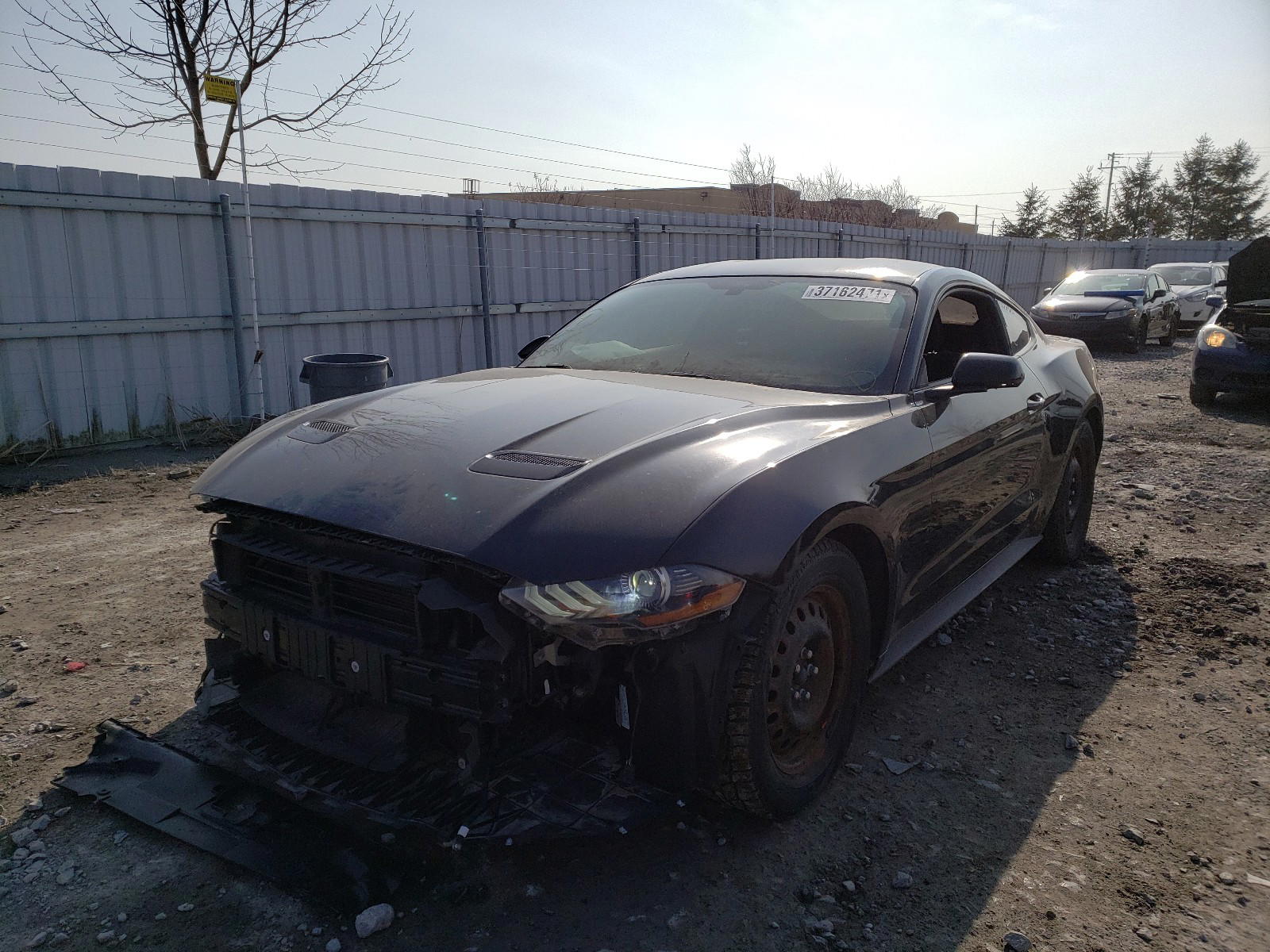 Photo 2 from auction – 2019 FORD MUSTANG with VIN 1FA6P8TH2K5107245