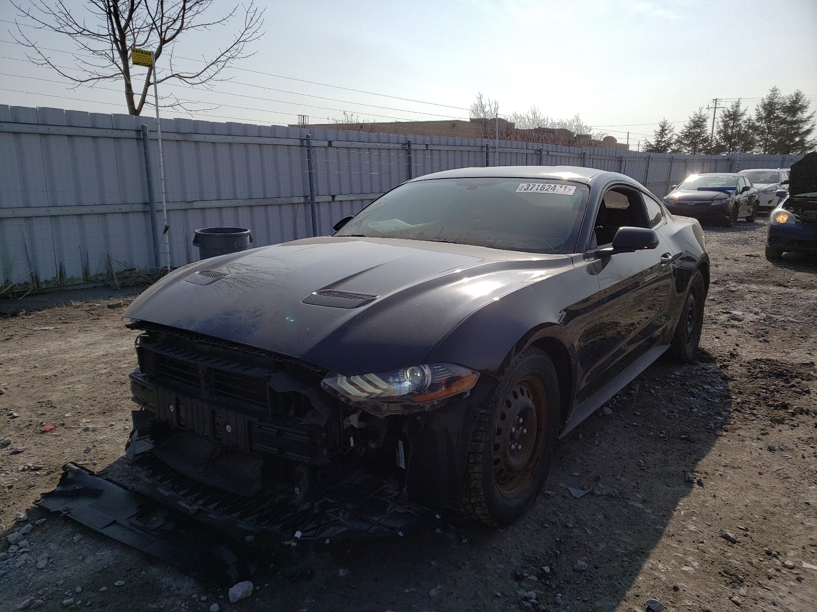 Zdjęcie 2 z aukcji – 2019 FORD MUSTANG z VIN 1FA6P8TH2K5107245