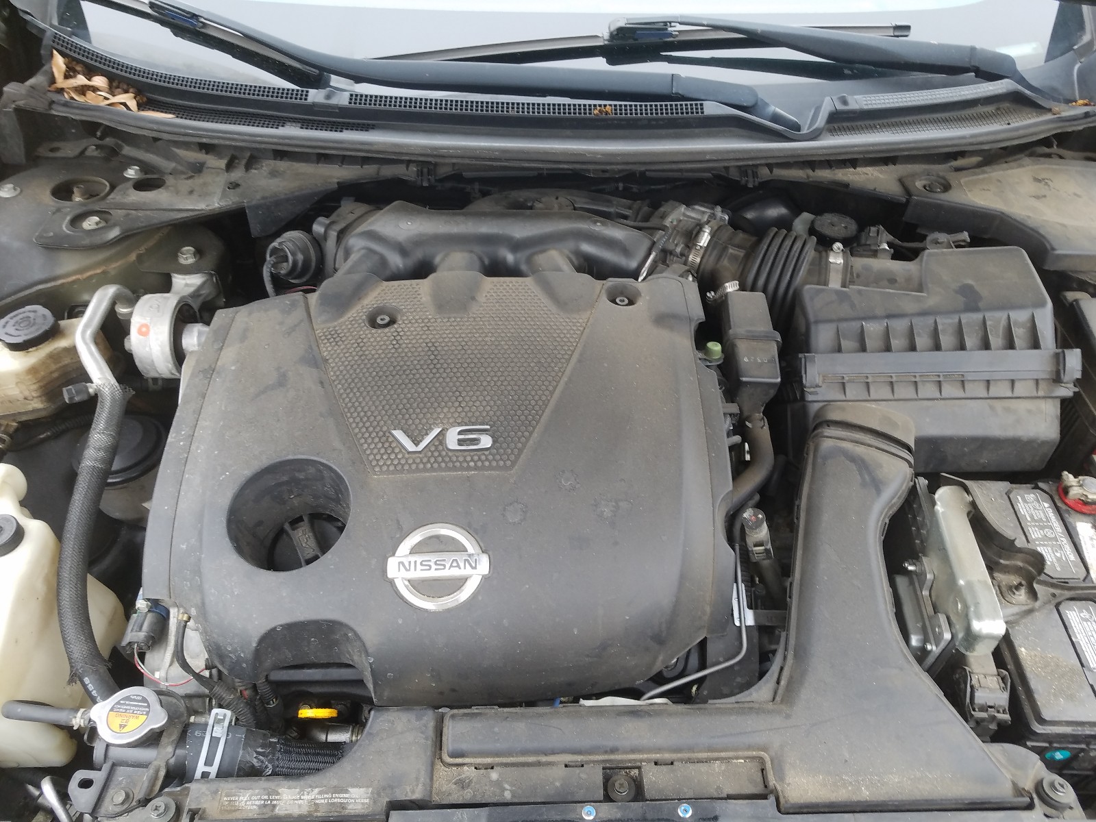 Photo 7 from auction – 2010 NISSAN MAXIMA S with VIN 1N4AA5AP5AC859827