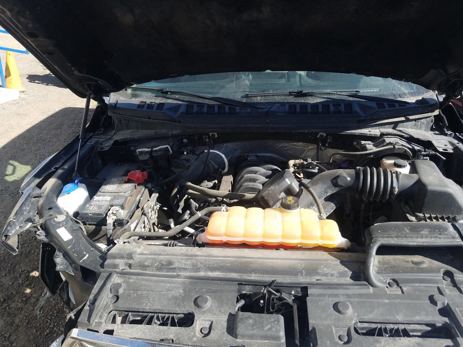 Photo 7 from auction – 2016 FORD F150 SUPER with VIN 1FTEW1EF3GFB12998