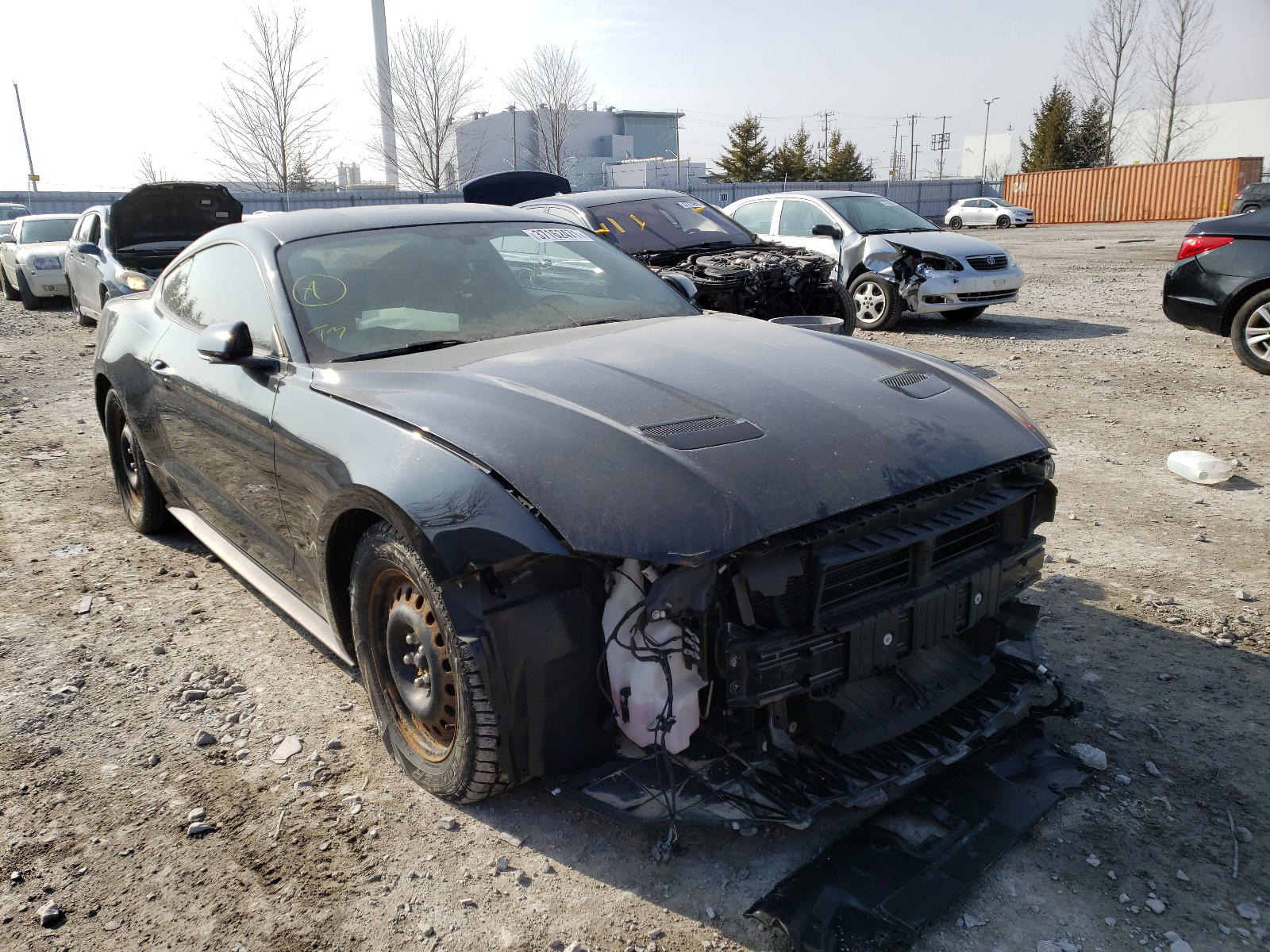 FORD MUSTANG 2019 with VIN 1FA6P8TH2K5107245 - Photo from auction