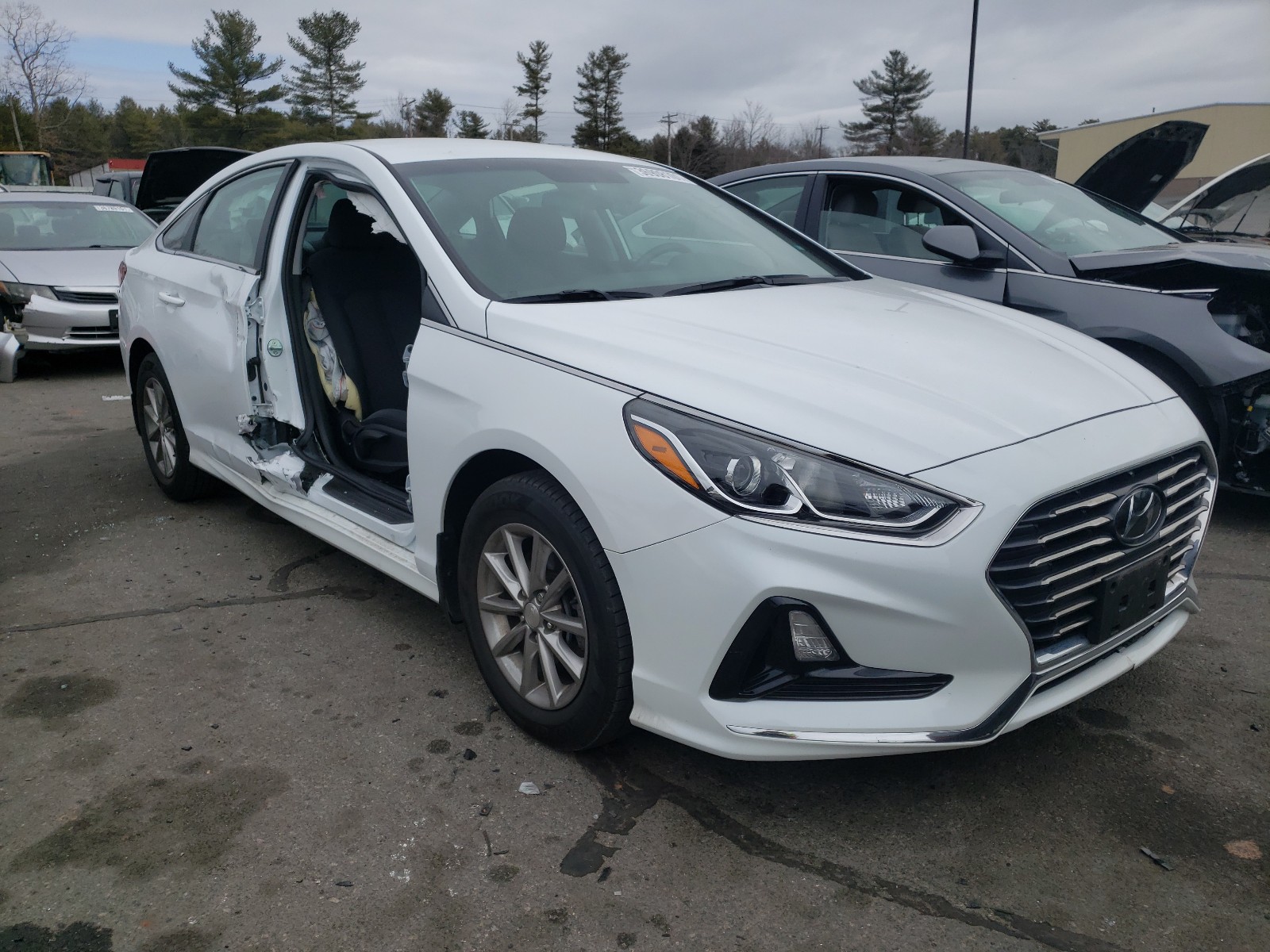 HYUNDAI SONATA SE 2019 with VIN 5NPE24AF5KH735279 - Photo from auction