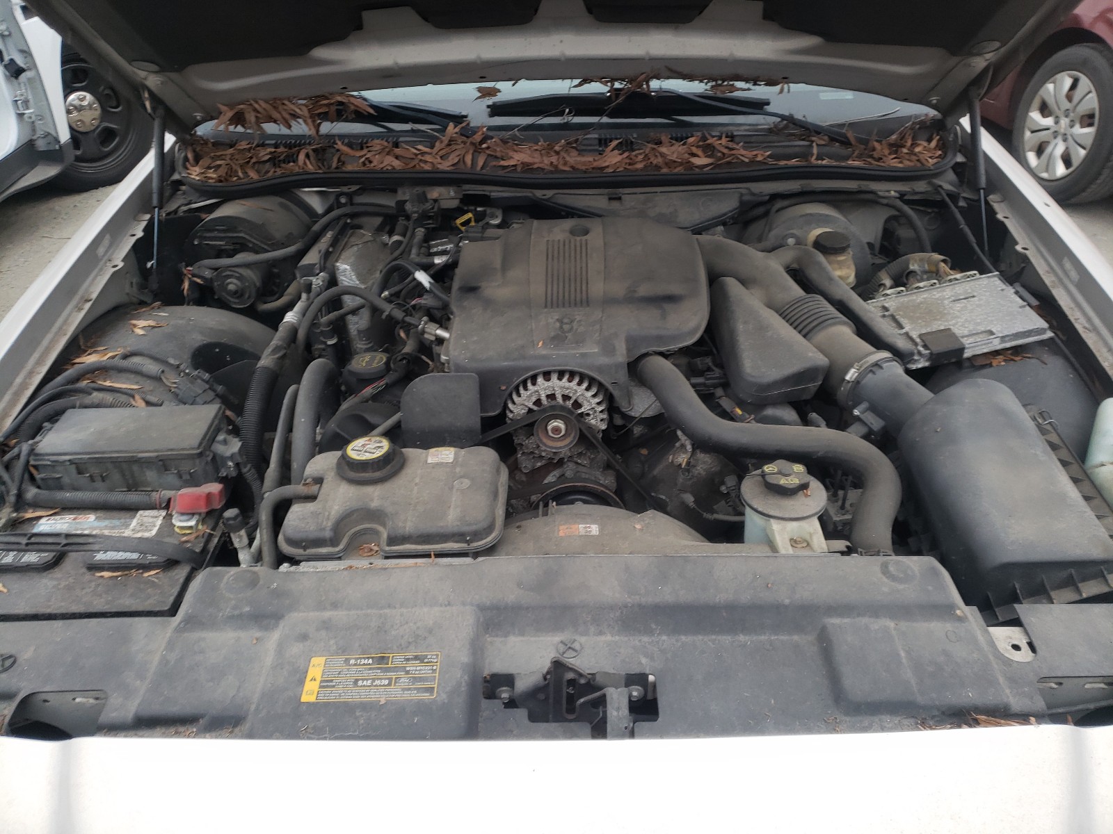 Photo 7 from auction – 2008 FORD CROWN VICT with VIN 2FAFP74V88X139543