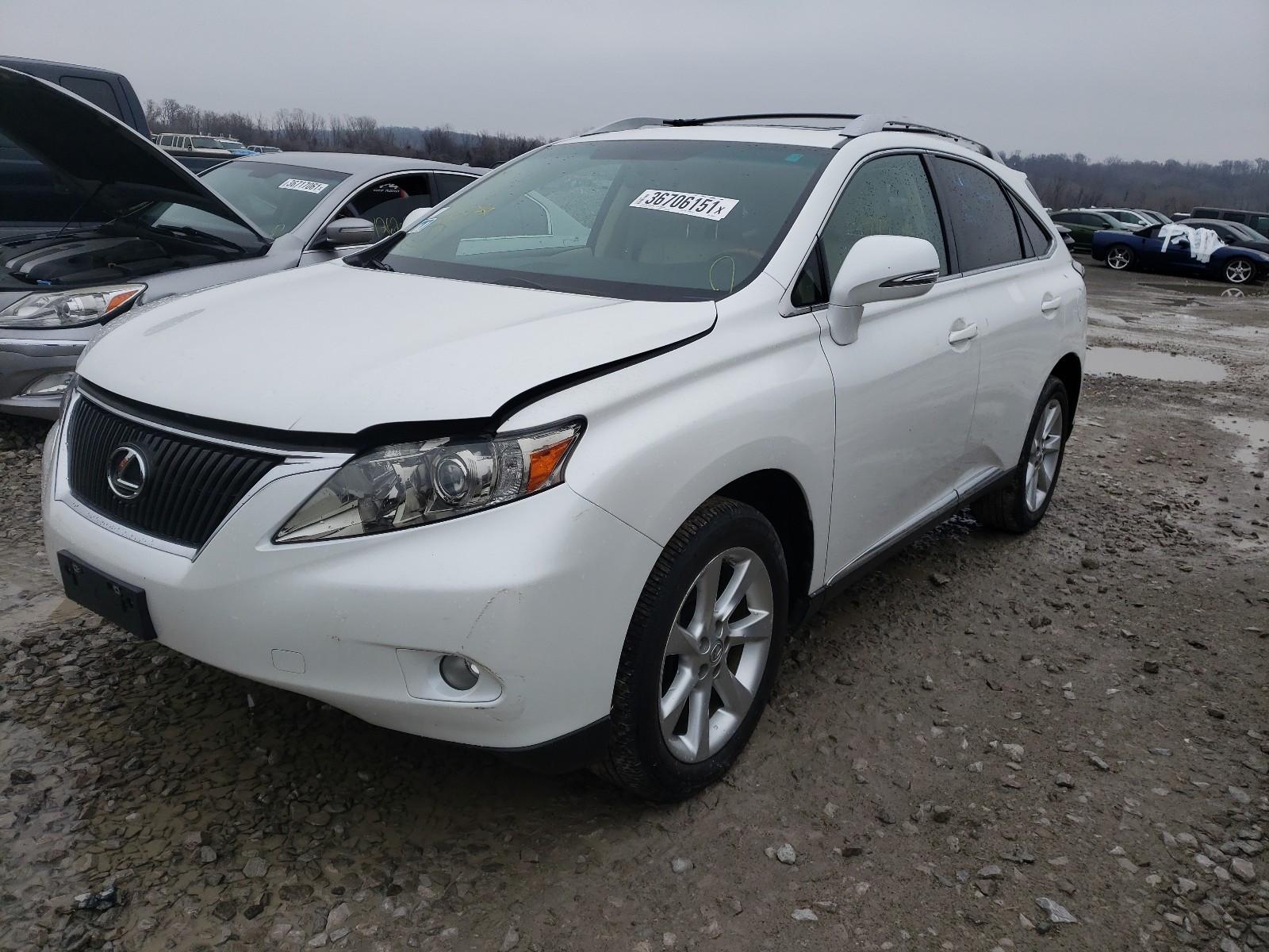 Photo 2 from auction – 2010 LEXUS RX 350 with VIN JTJZK1BA6A2408292