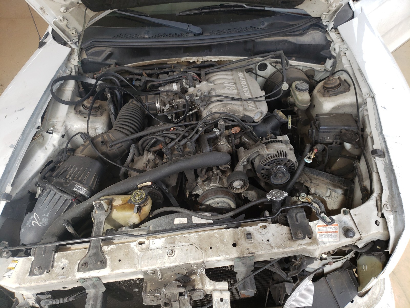 Photo 7 from auction – 1998 FORD MUSTANG with VIN 1FAFP4046WF189054