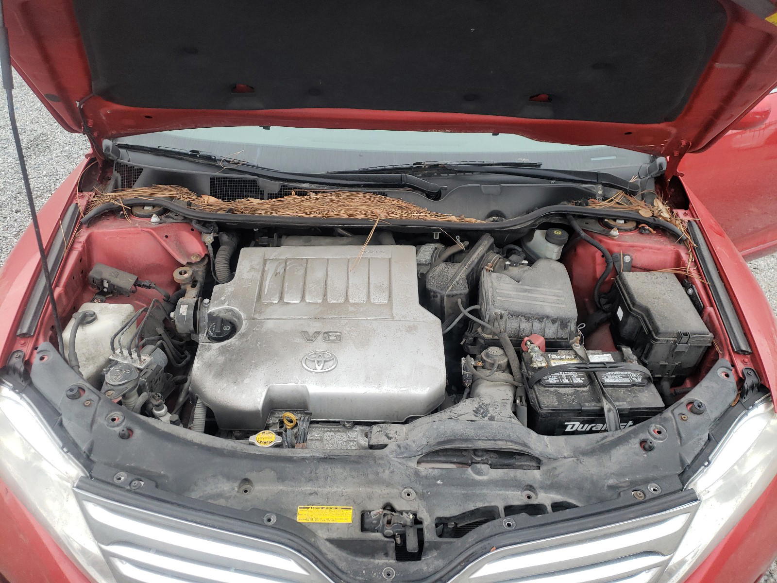 Photo 7 from auction – 2011 TOYOTA VENZA with VIN 4T3BK3BB4BU051552