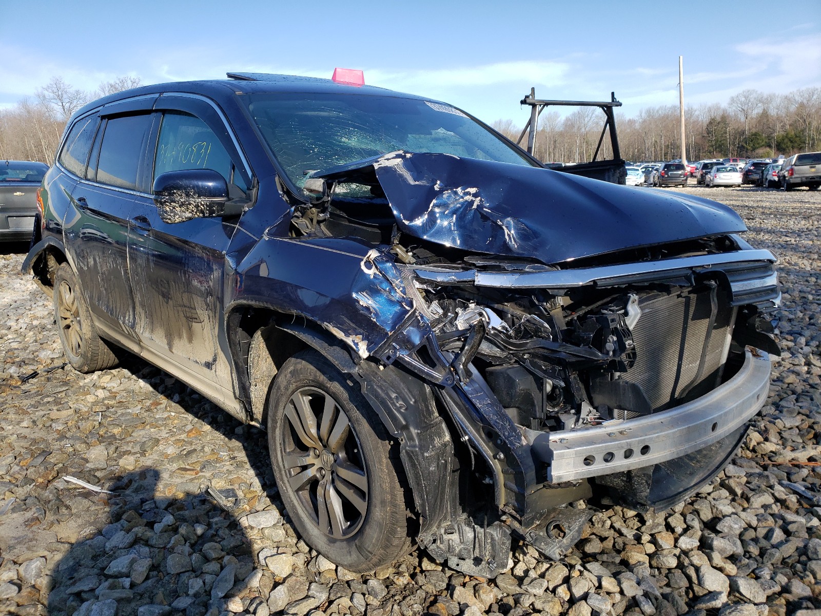HONDA PILOT EXLN 2016 with VIN 5FNYF6H75GB009066 - Photo from auction
