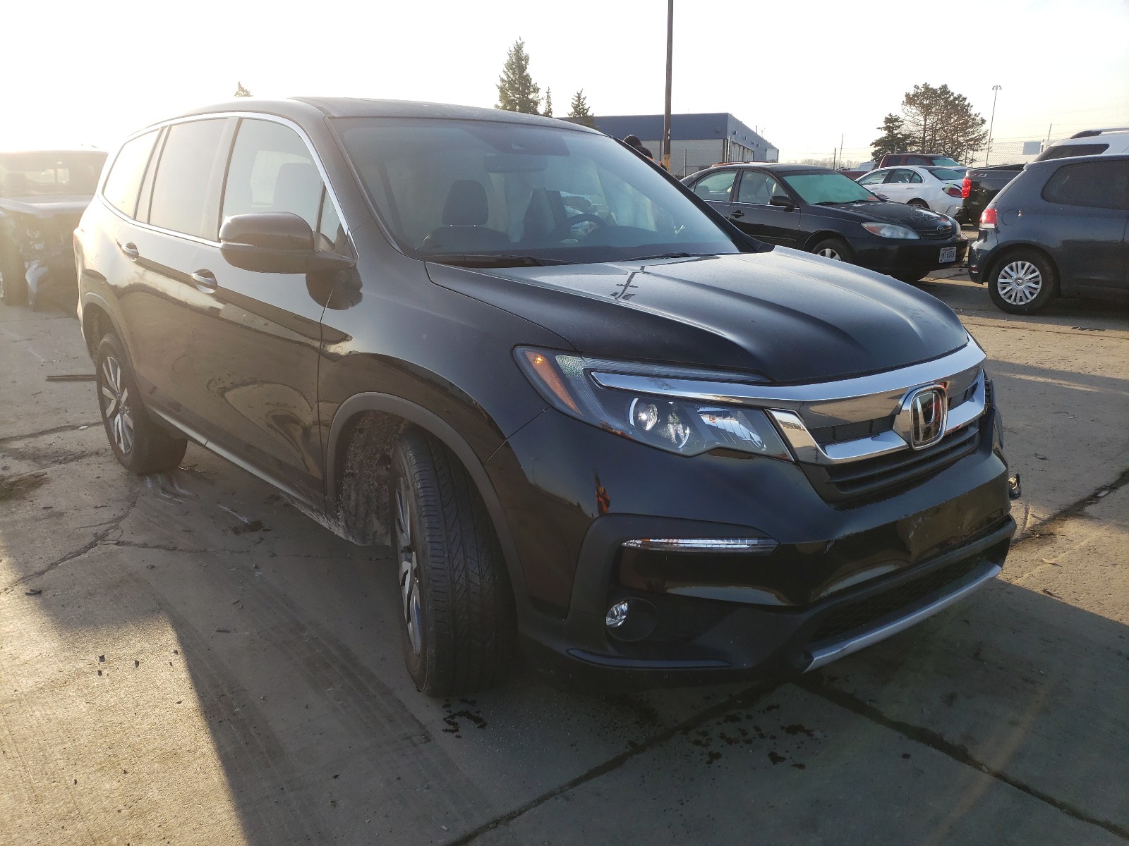 HONDA PILOT EXL 2020 with VIN 5FNYF6H57LB025746 - Photo from auction