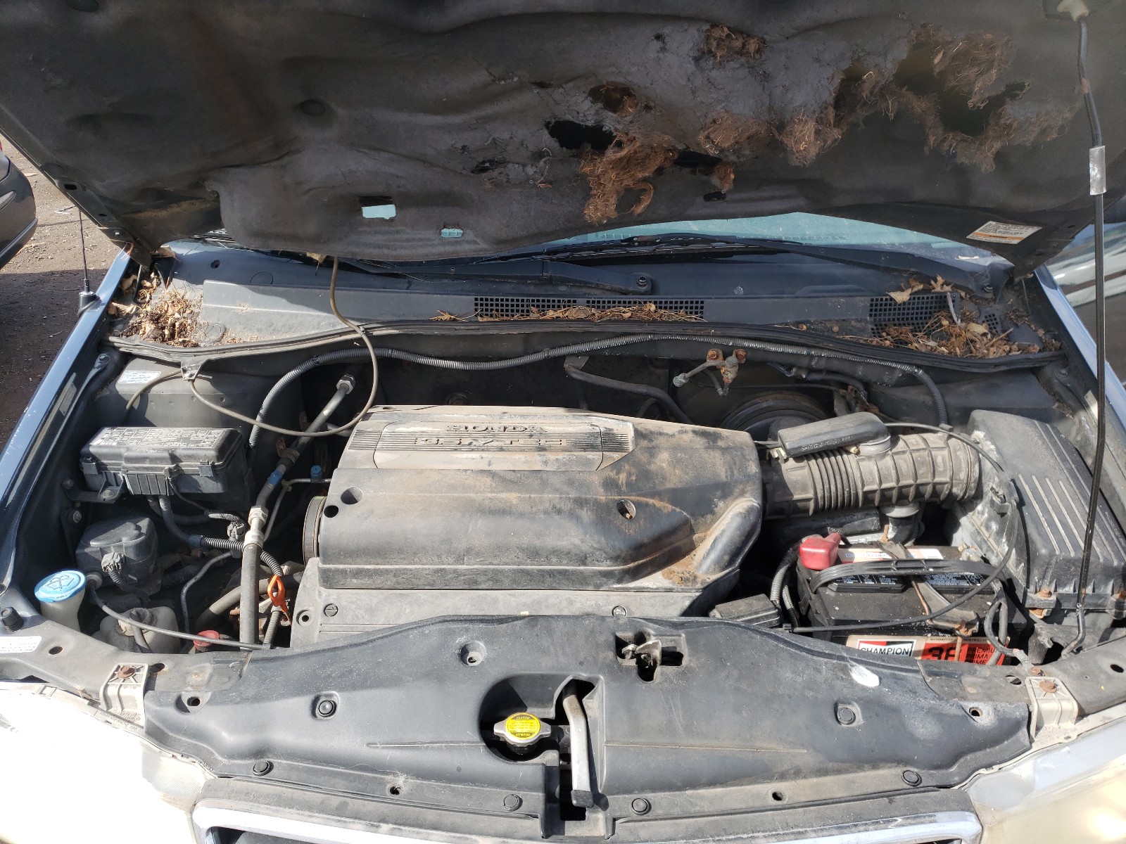 Photo 7 from auction – 2004 HONDA ODYSSEY EX with VIN 5FNRL18934B038658