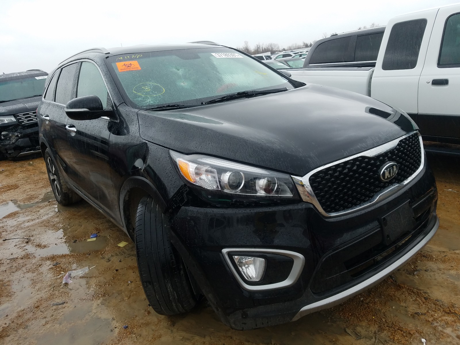 KIA SORENTO EX 2017 with VIN 5XYPH4A16HG323982 - Photo from auction