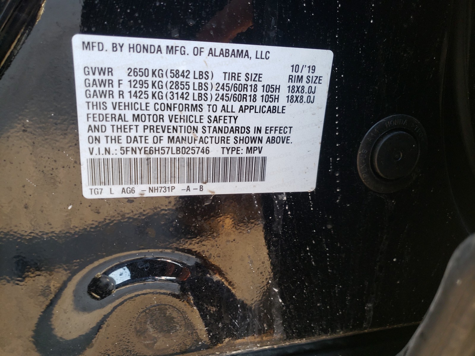 Photo 10 from auction – 2020 HONDA PILOT EXL with VIN 5FNYF6H57LB025746