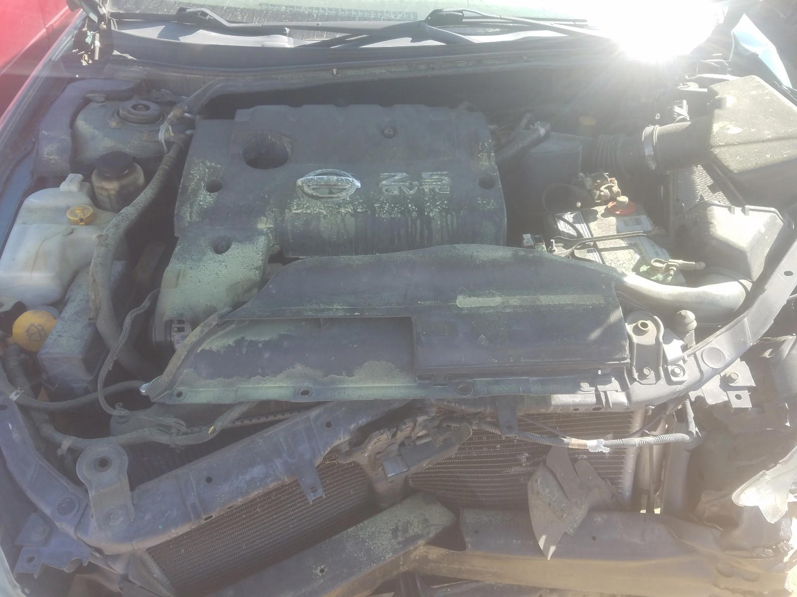 Photo 7 from auction – 2002 NISSAN ALTIMA BAS with VIN 1N4AL11D12C150449