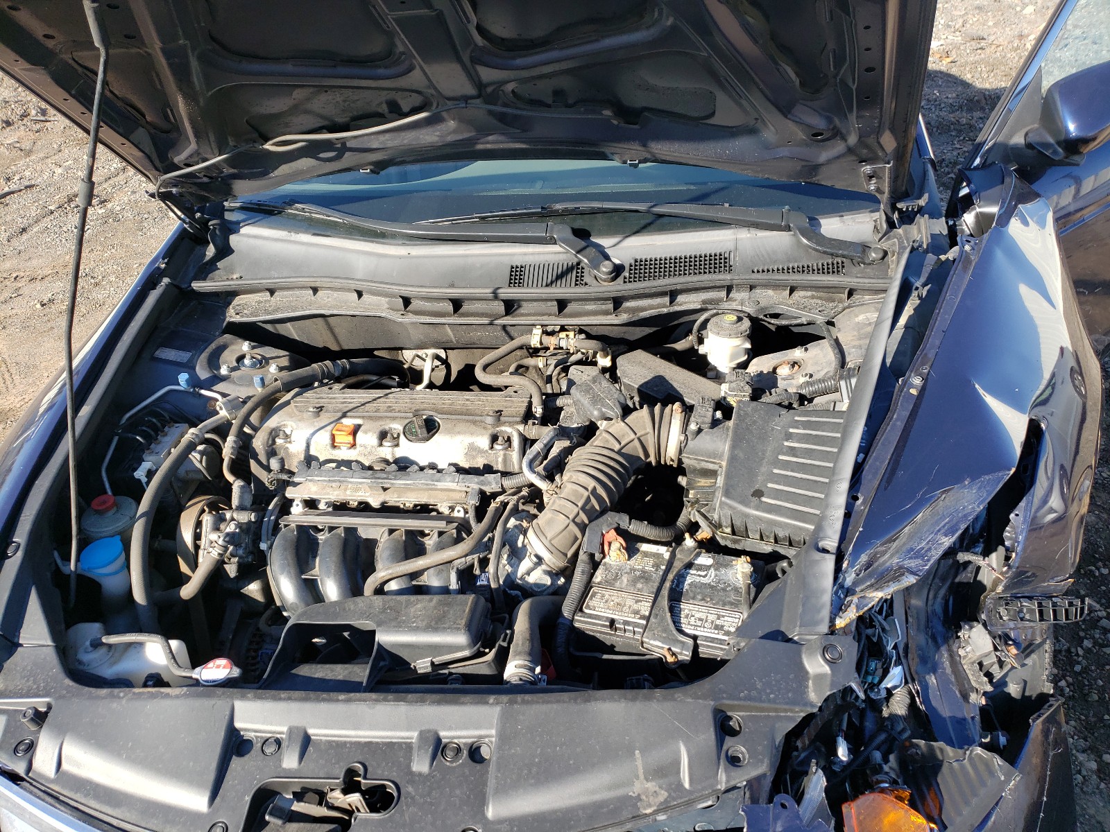 Photo 7 from auction – 2010 HONDA ACCORD LXP with VIN 1HGCP2F49AA066963