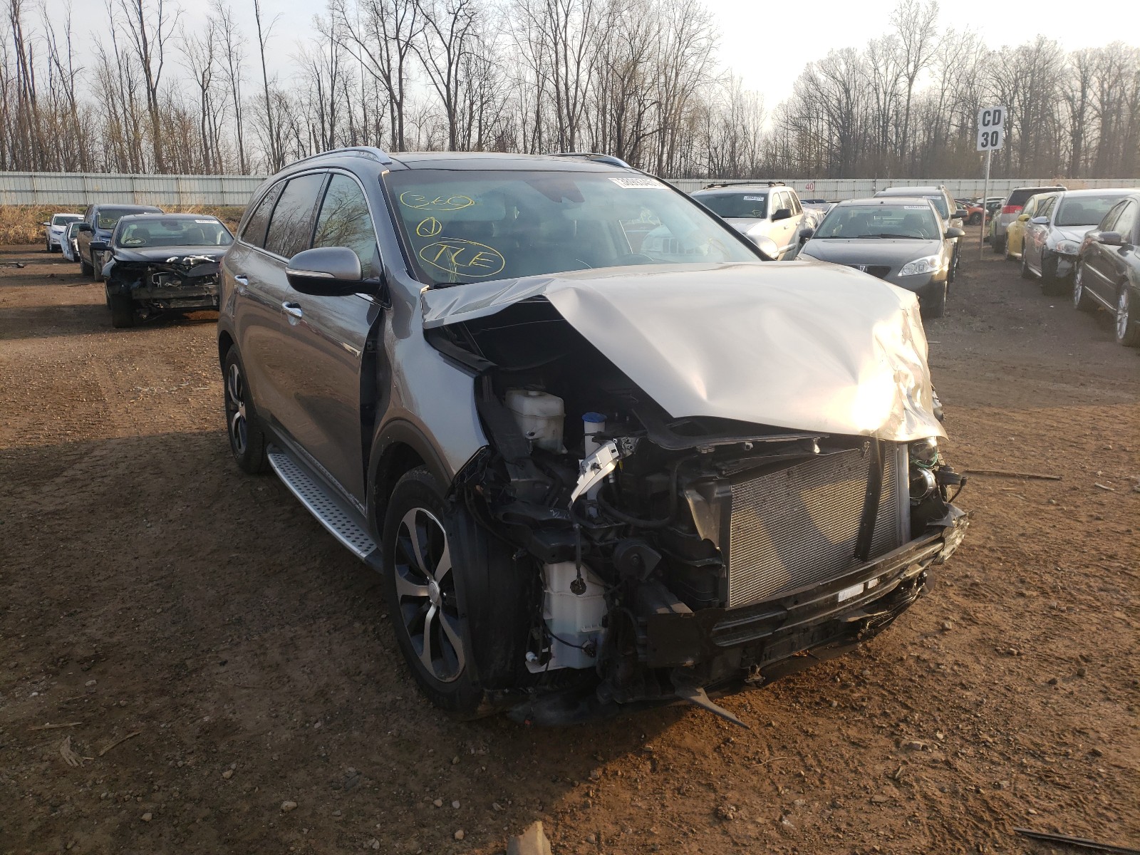 KIA SORENTO EX 2017 with VIN 5XYPHDA55HG234004 - Photo from auction