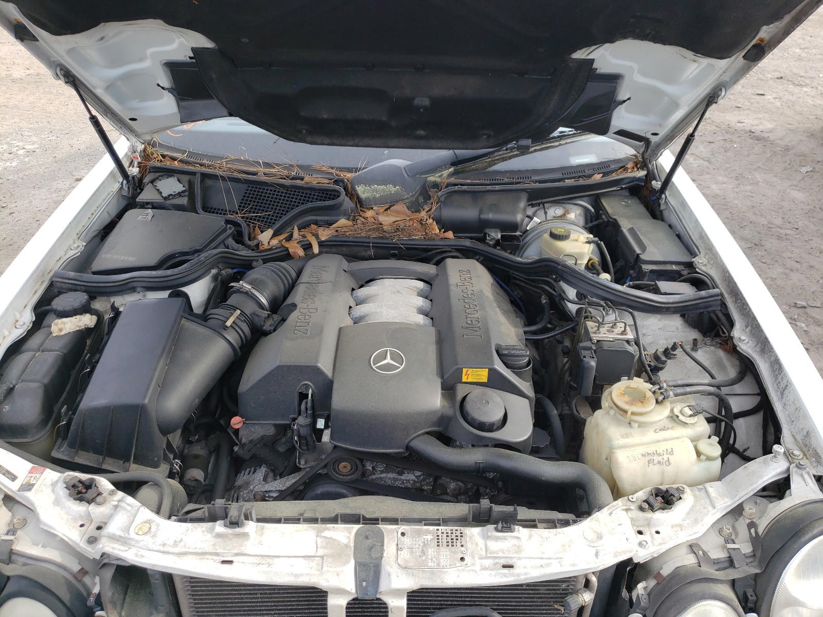 Photo 7 from auction – 2000 MERCEDES-BENZ E-CLASS with VIN WDBJF65J3YA997040