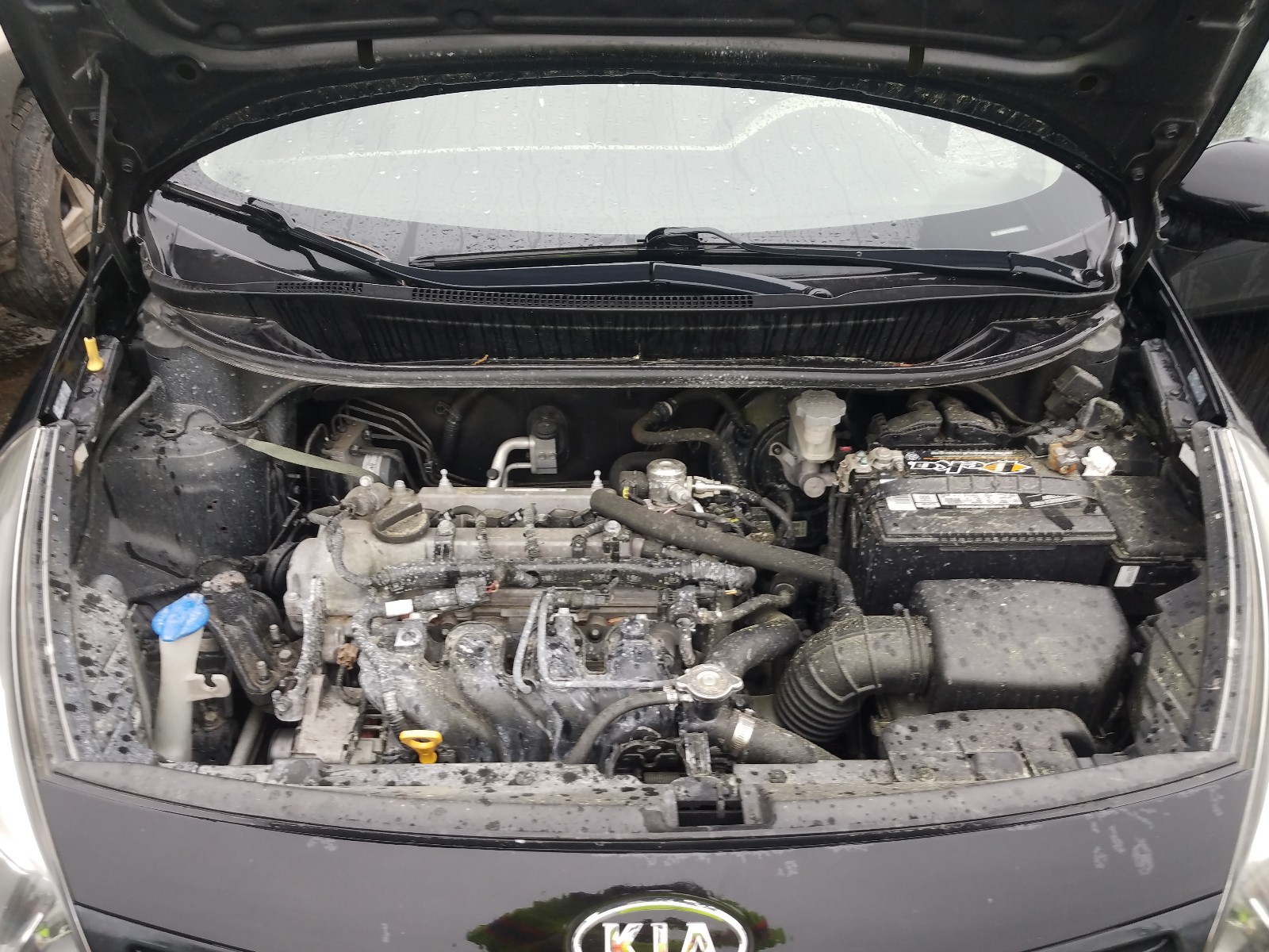 Photo 7 from auction – 2013 KIA RIO LX with VIN KNADM4A33D6118727