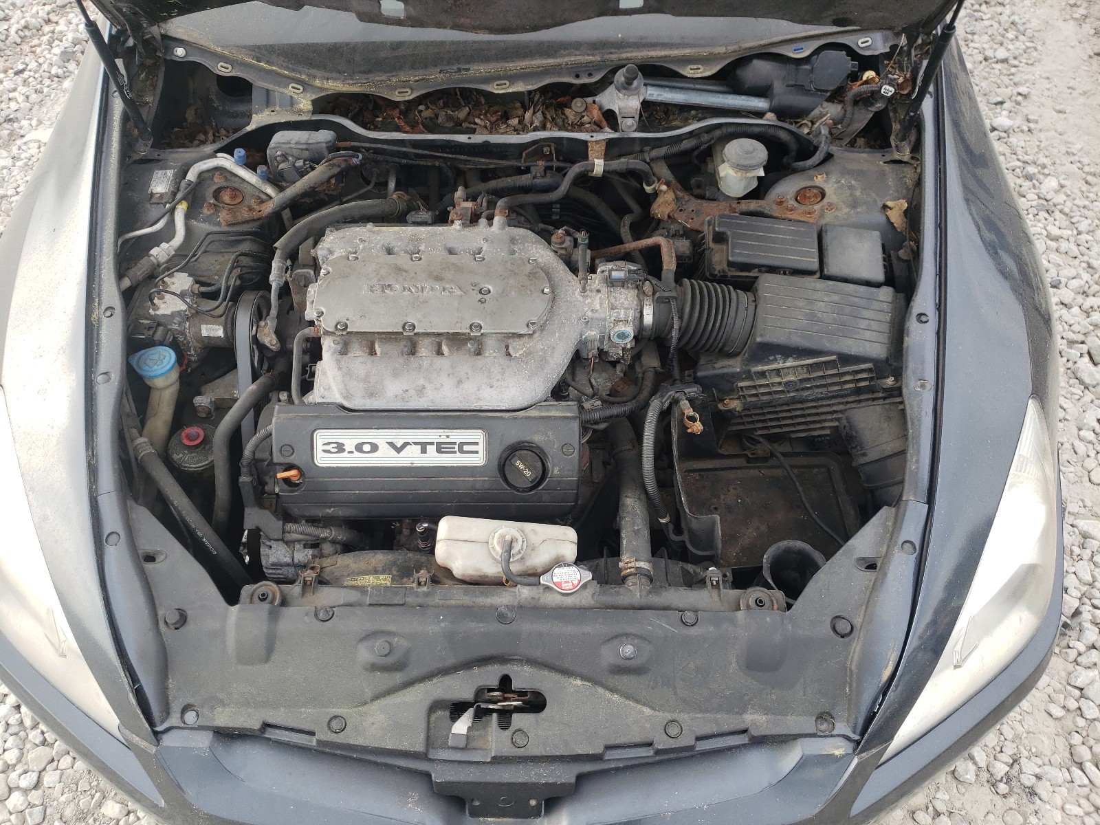 Photo 7 from auction – 2003 HONDA ACCORD EX with VIN 1HGCM82653A007950