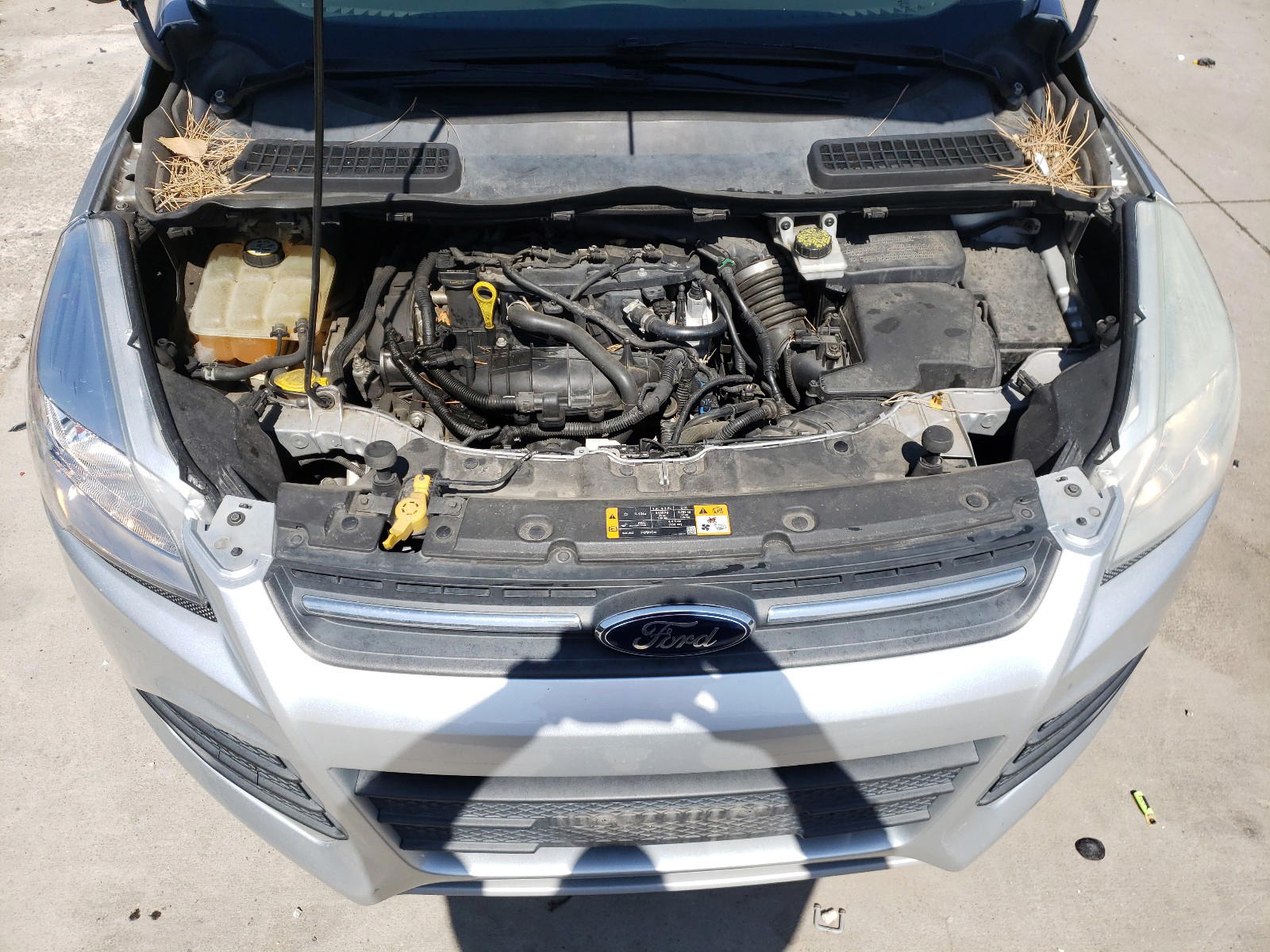 Photo 7 from auction – 2013 FORD ESCAPE SE with VIN 1FMCU9GX9DUC48640