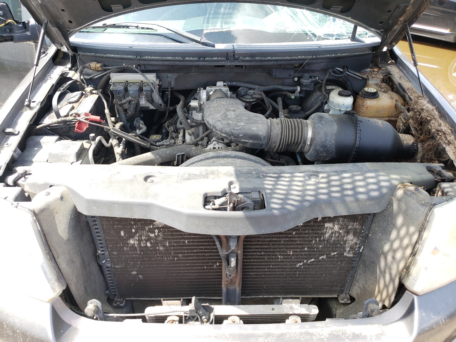 Photo 7 from auction – 2005 FORD F150 SUPER with VIN 1FTRW12WX5KF05195