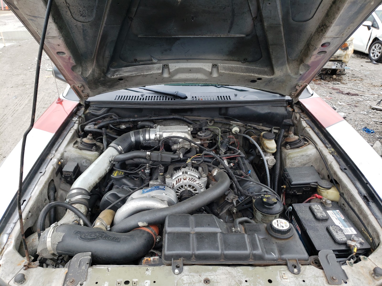 Photo 7 from auction – 2003 FORD MUSTANG GT with VIN 1FAFP4043YF206895
