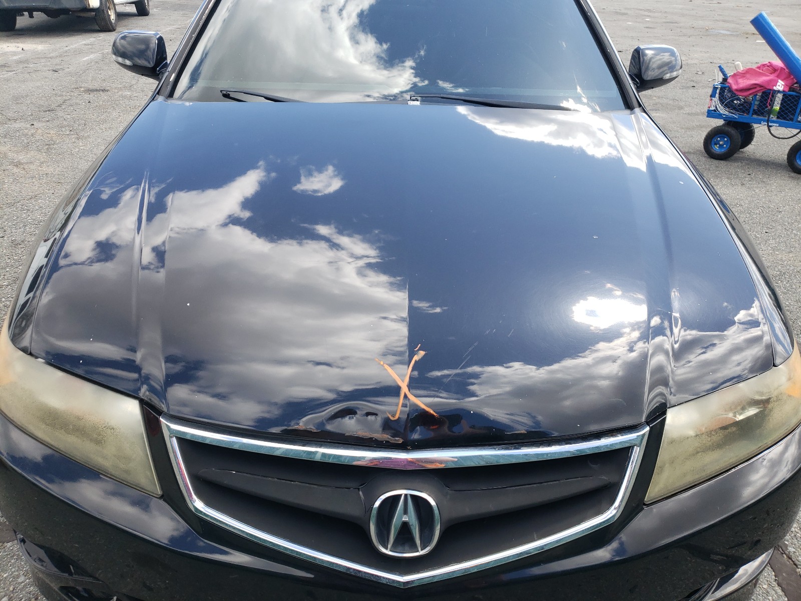 Photo 7 from auction – 2006 ACURA TSX with VIN JH4CL96816C014114