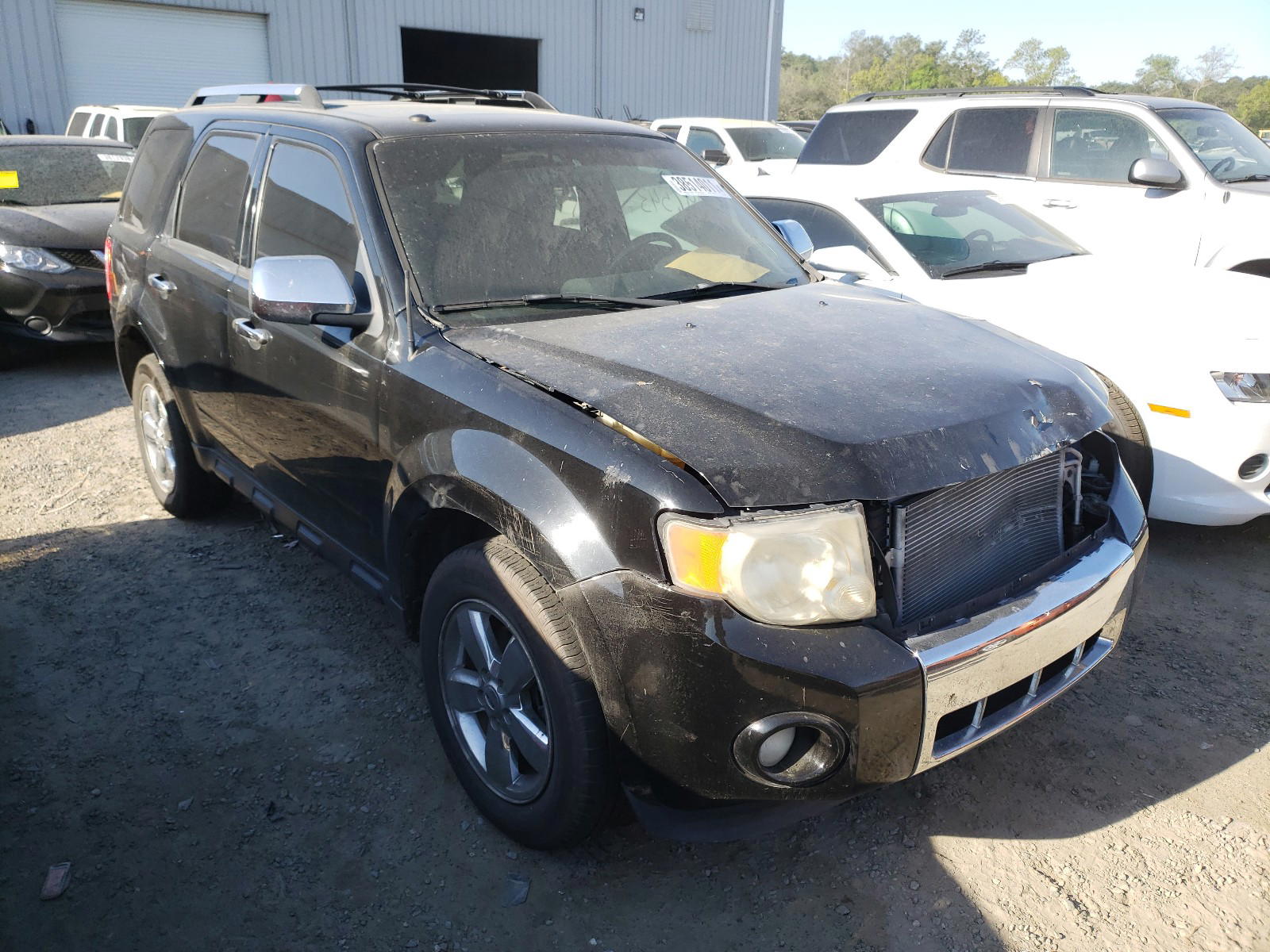 FORD ESCAPE LIM 2010 with VIN 1FMCU0EGXAKB63408 - Photo from auction