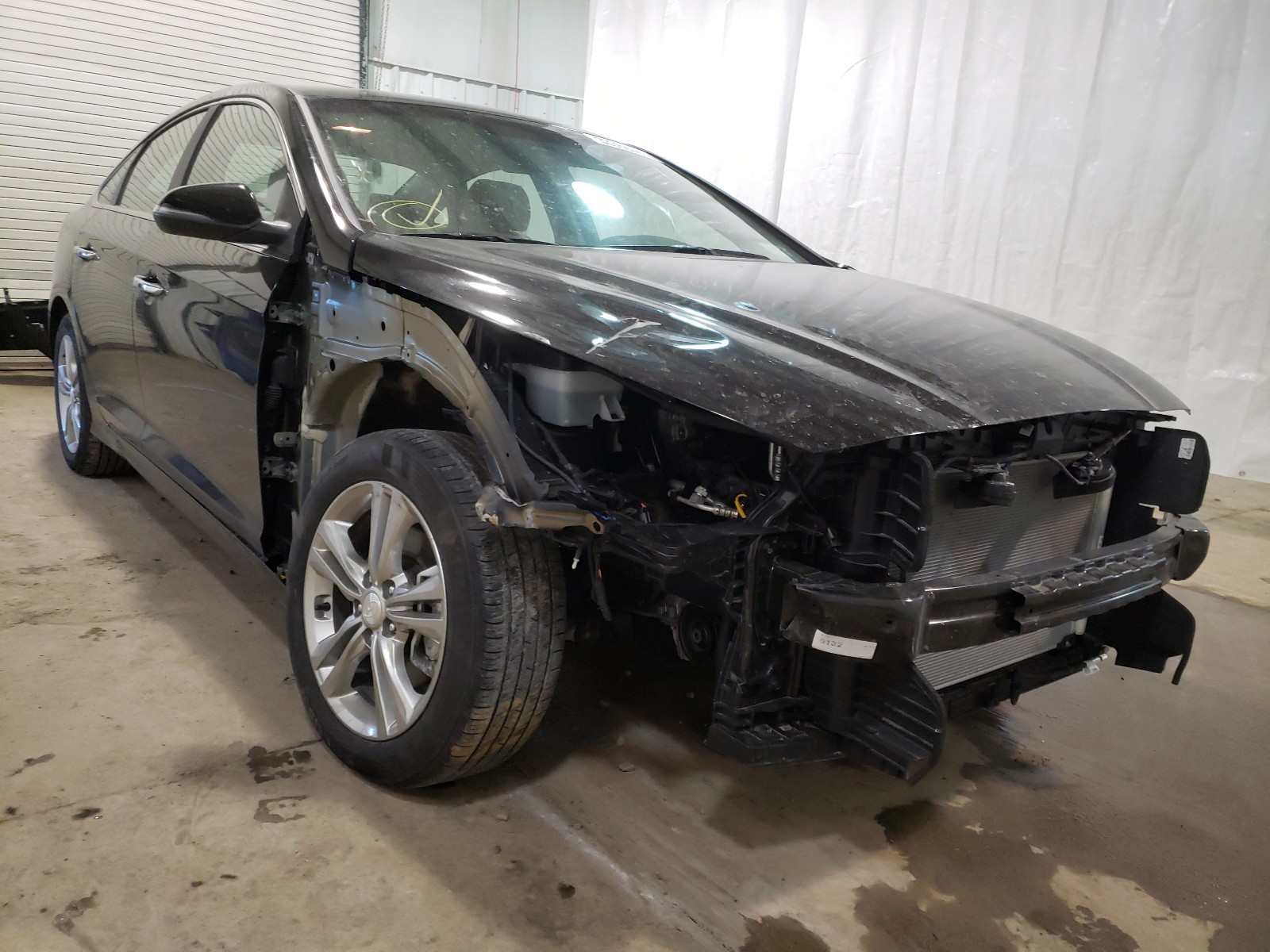 HYUNDAI SONATA LIM 2019 with VIN 5NPE34AF9KH819943 - Photo from auction