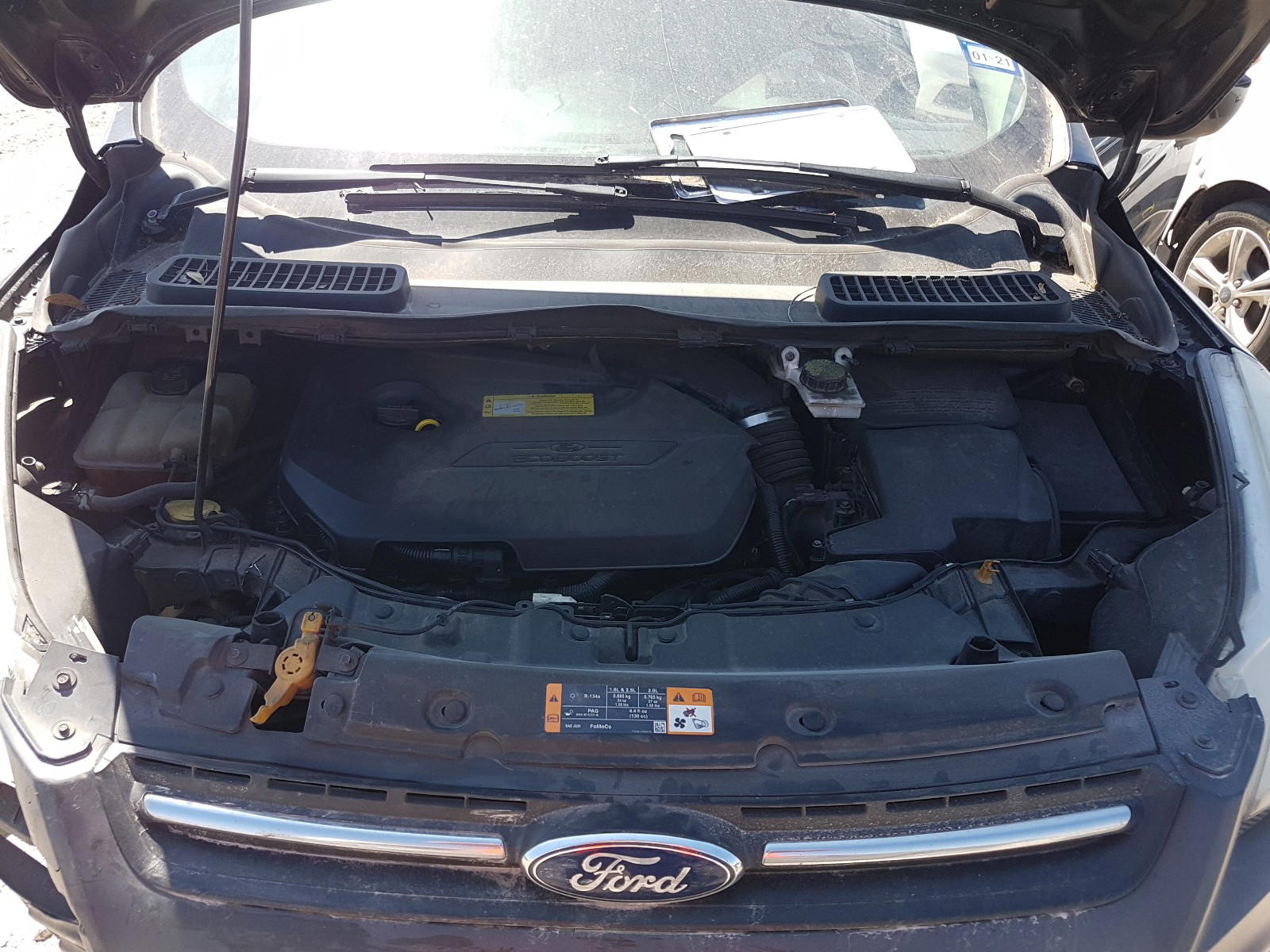 Photo 7 from auction – 2013 FORD ESCAPE SE with VIN 1FMCU0GX5DUC73255