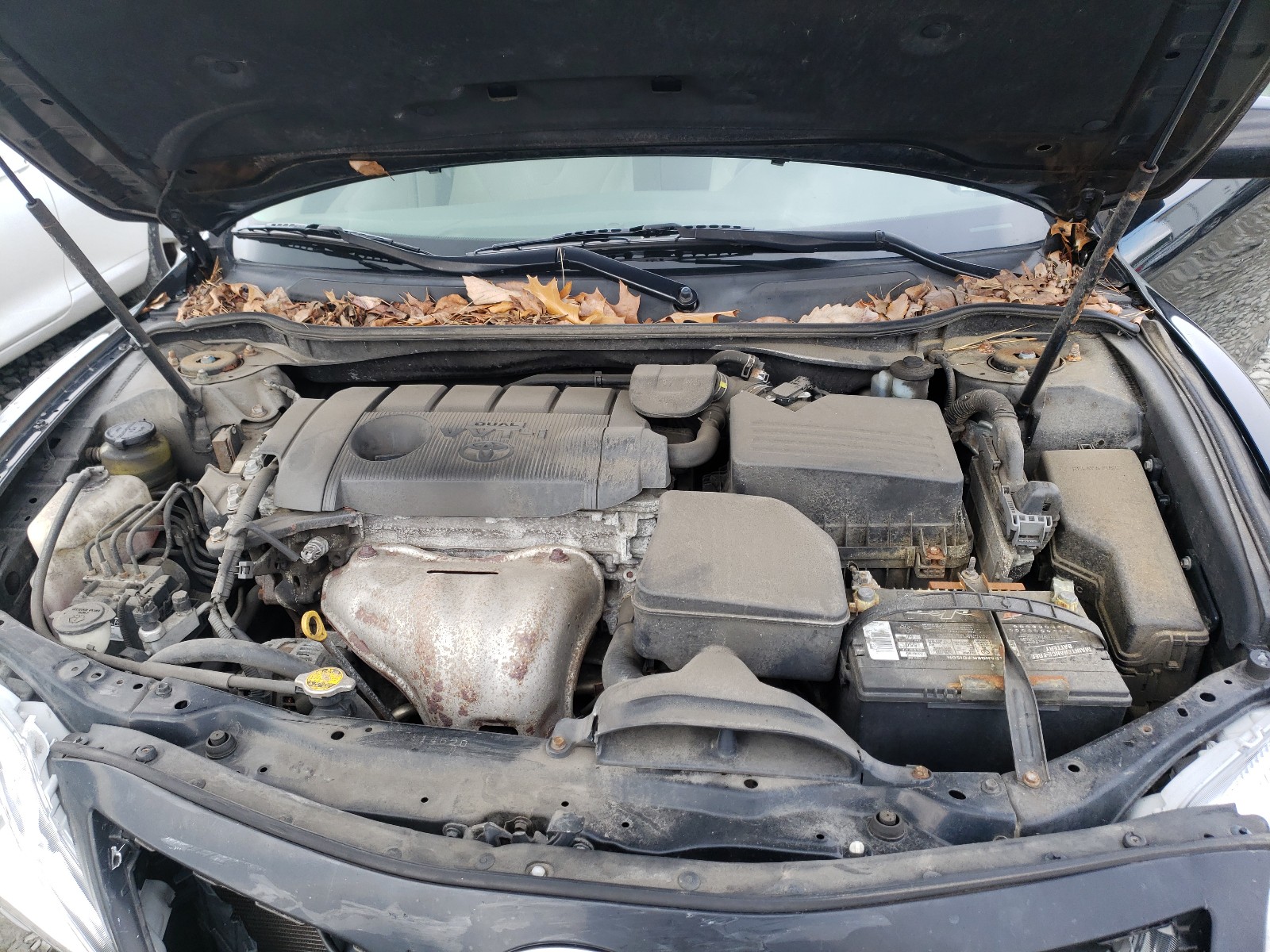 Photo 7 from auction – 2010 TOYOTA CAMRY BASE with VIN 4T1BF3EK9AU099295