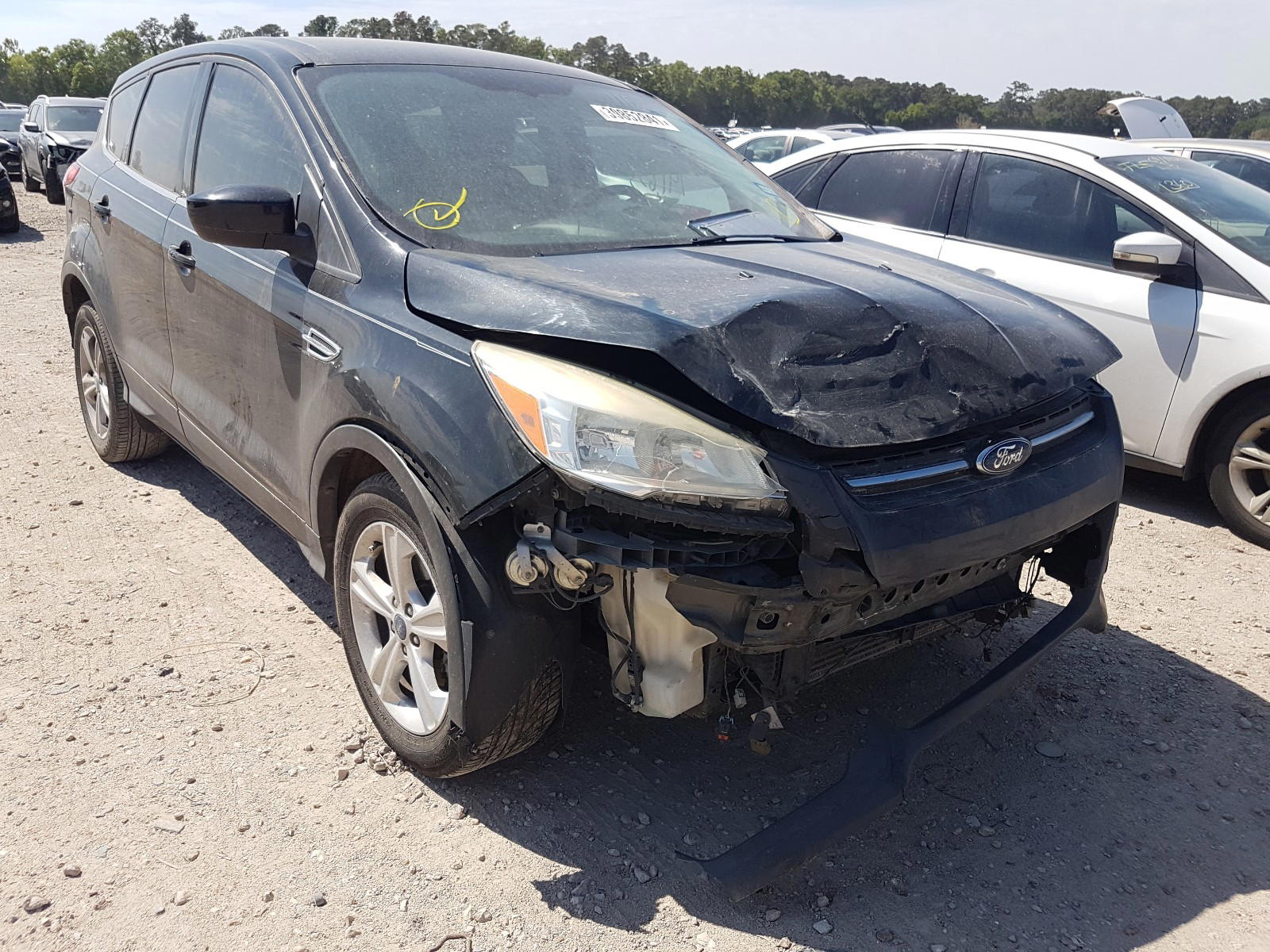 FORD ESCAPE SE 2013 with VIN 1FMCU0GX5DUC73255 - Photo from auction
