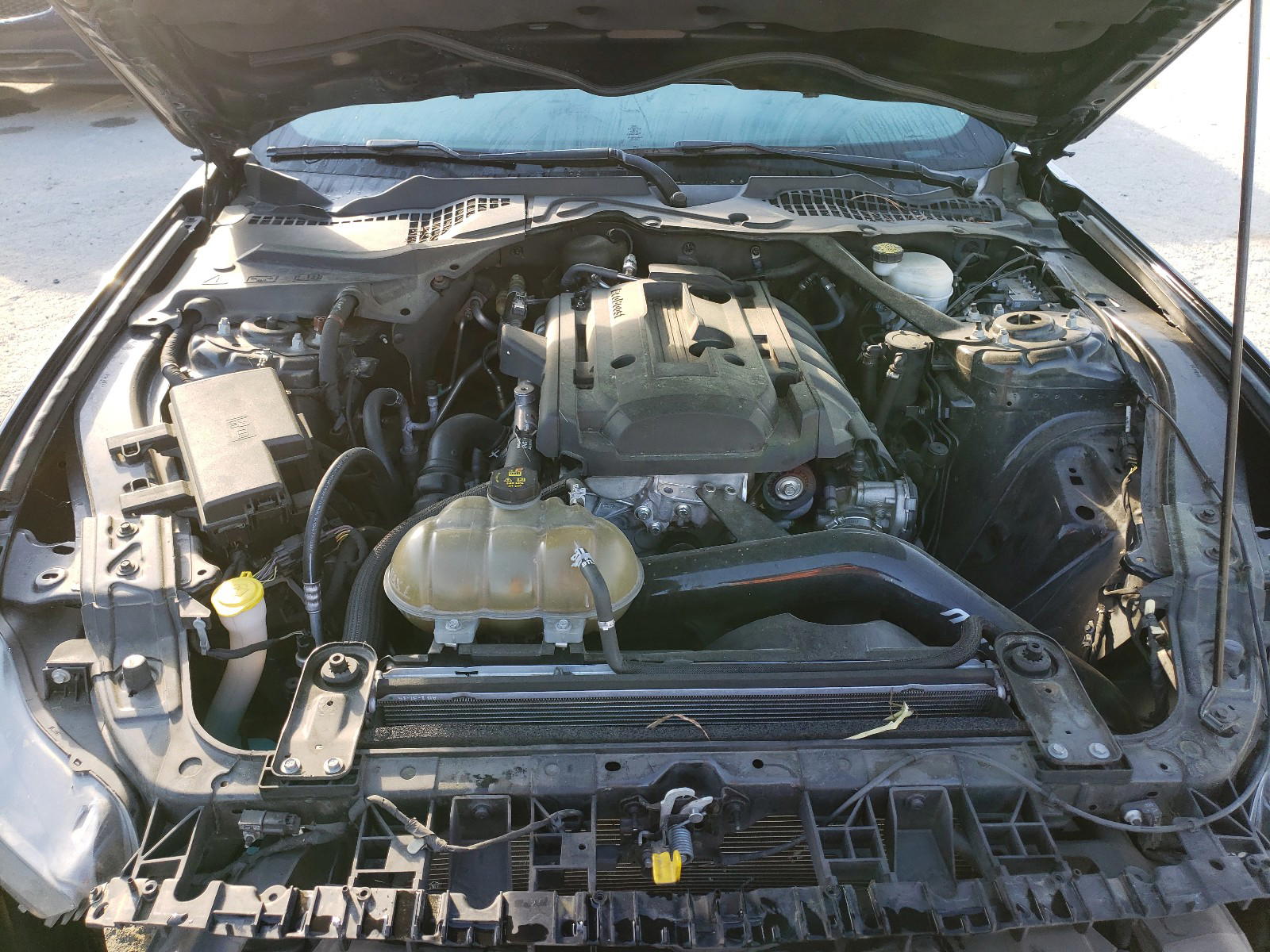 Photo 7 from auction – 2015 FORD MUSTANG with VIN 1FA6P8TH7F5367033