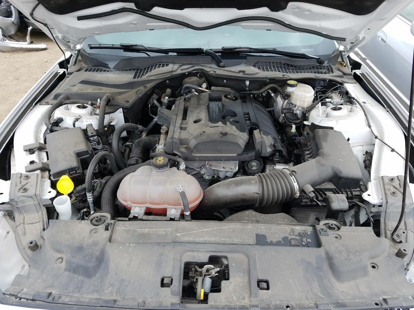 Photo 7 from auction – 2019 FORD MUSTANG with VIN 1FA6P8TH4K5181007