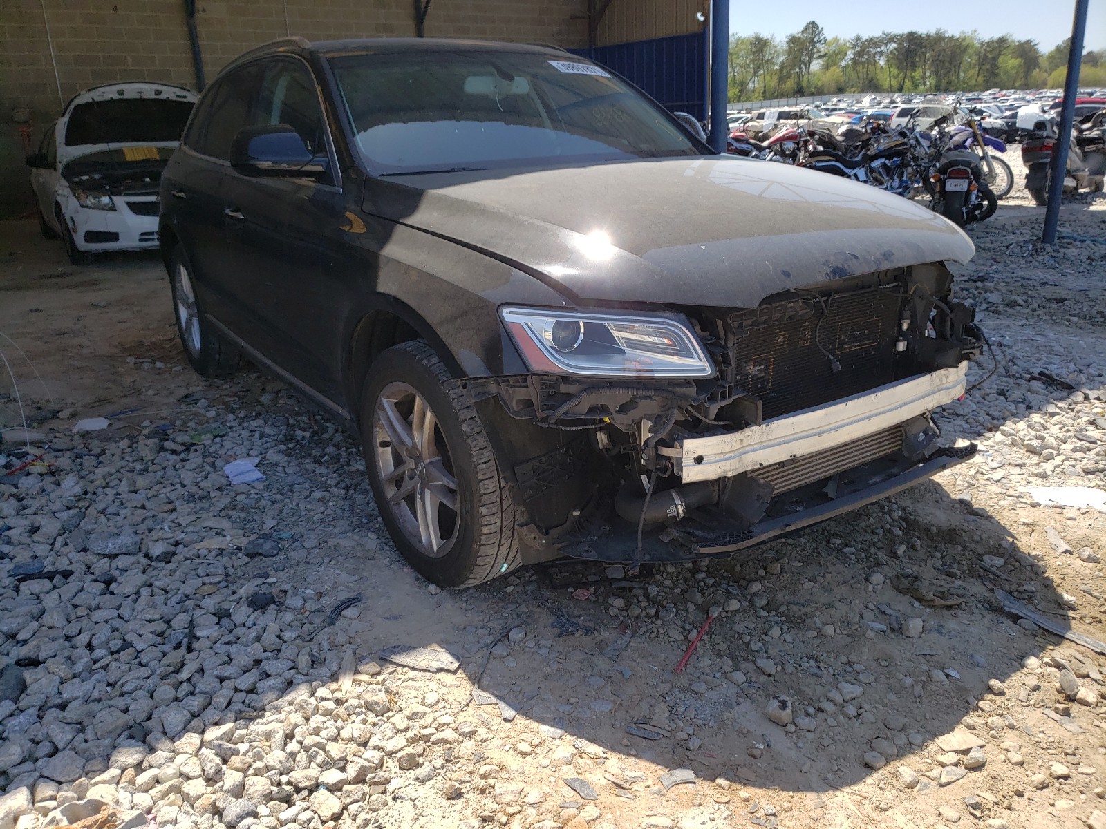 AUDI Q5 PREMIUM 2016 with VIN WA1L2AFPXGA026539 - Photo from auction
