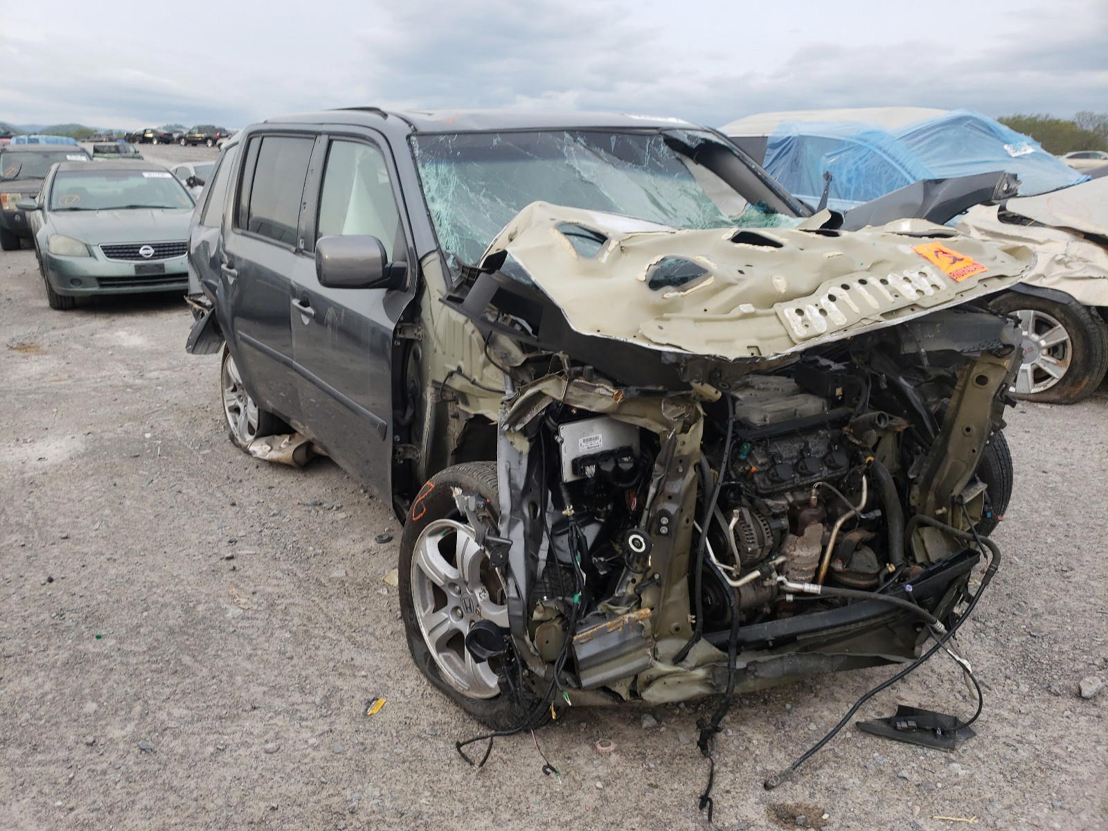 HONDA PILOT EXL 2012 with VIN 5FNYF3H60CB015454 - Photo from auction