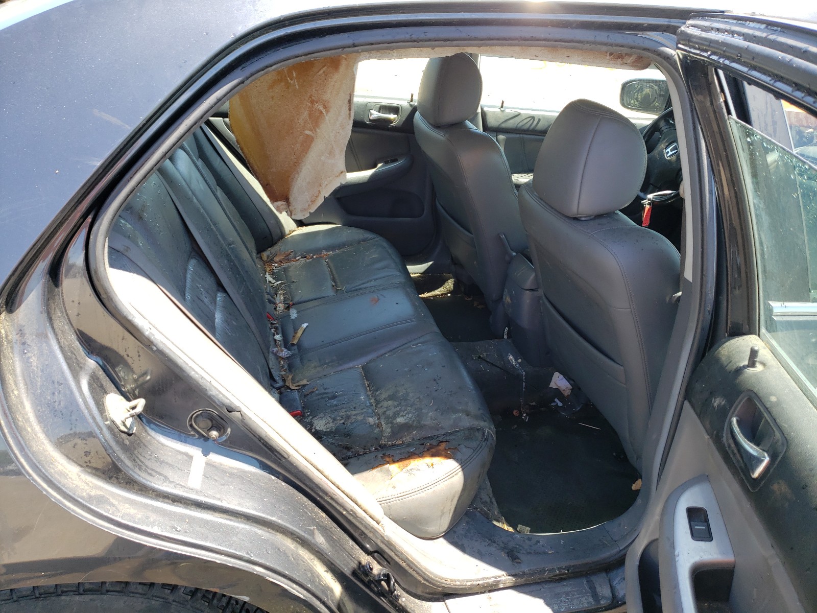 Photo 6 from auction – 2004 HONDA ACCORD EX with VIN 1HGCM56844A144602