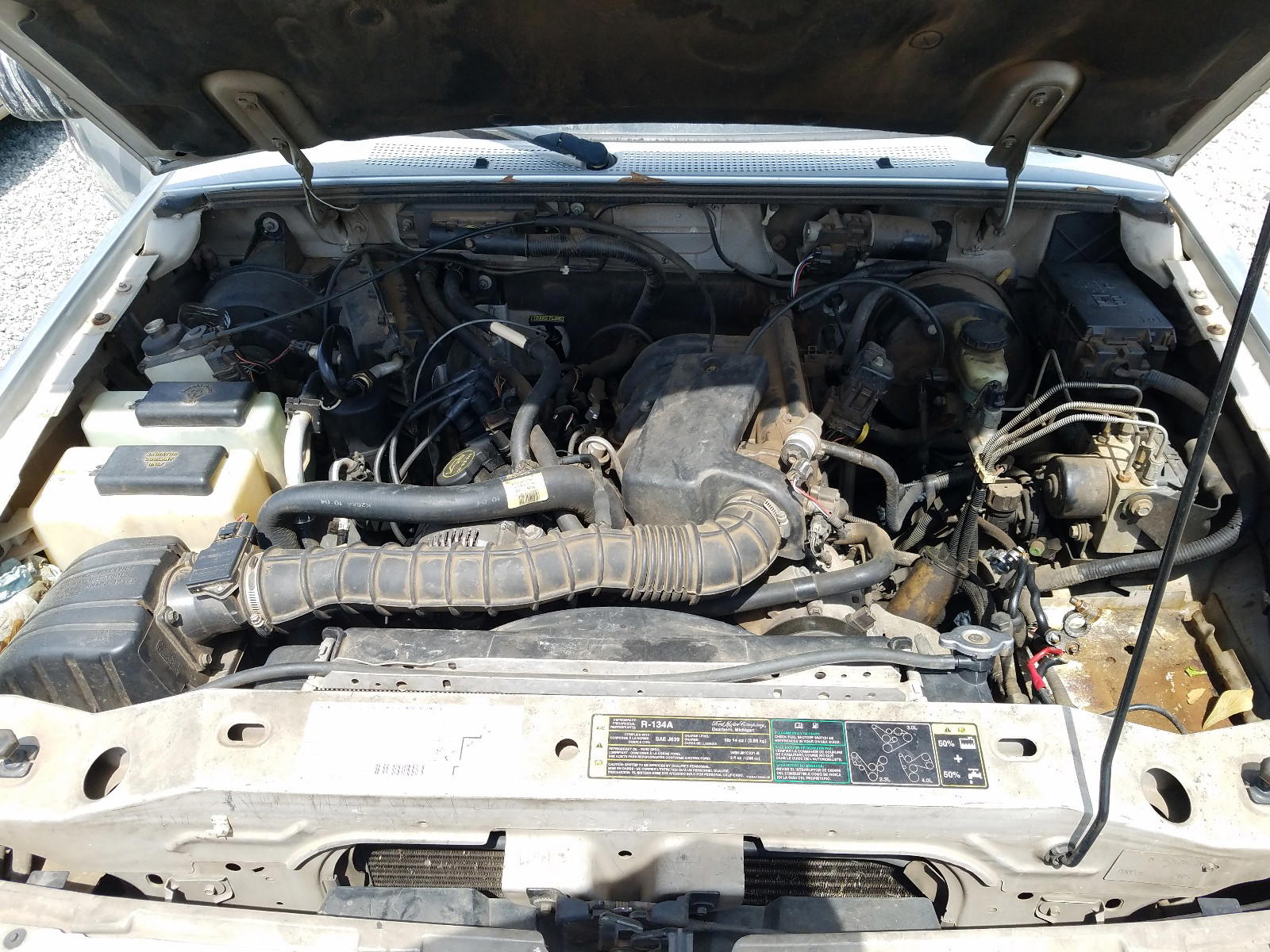 Photo 7 from auction – 2003 FORD RANGER SUP with VIN 1FTYR44V83PB09274