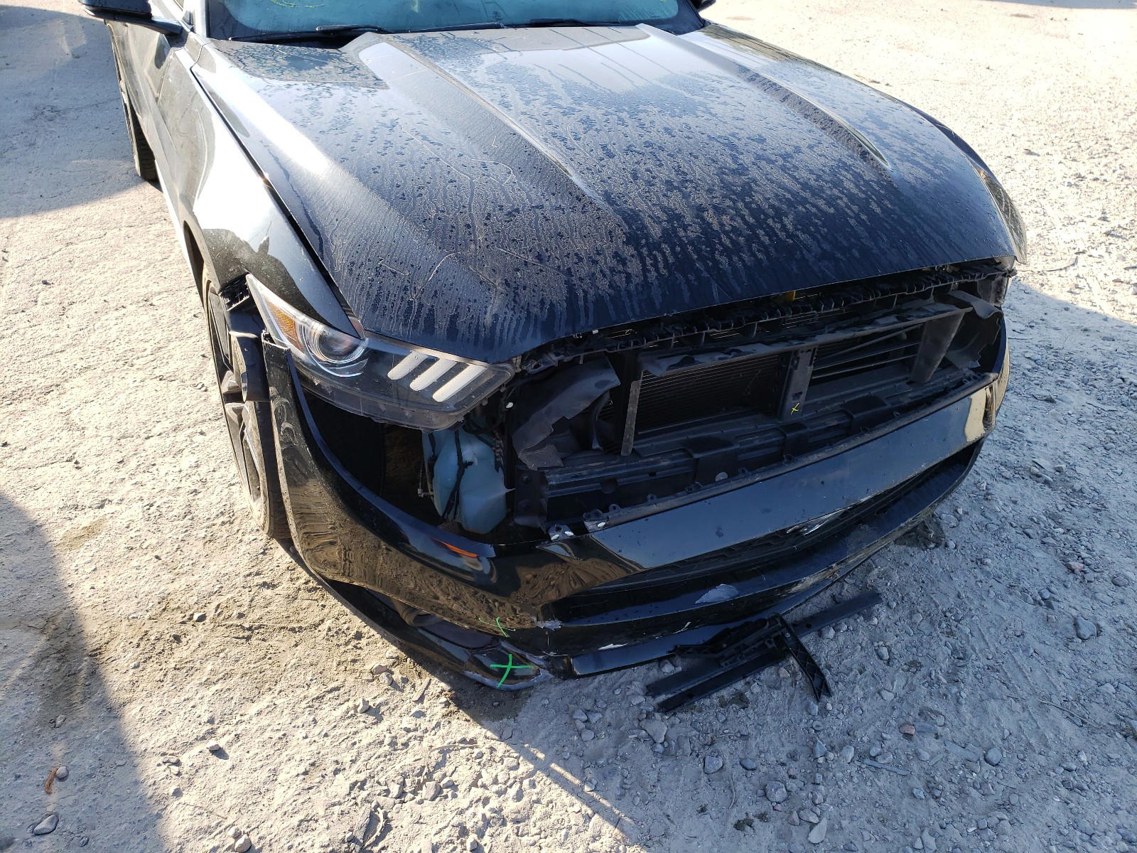 Photo 9 from auction – 2015 FORD MUSTANG with VIN 1FA6P8TH7F5367033