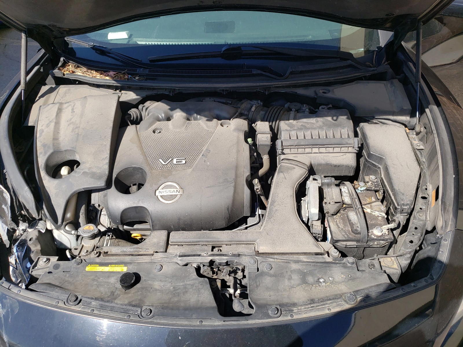 Photo 7 from auction – 2010 NISSAN MAXIMA S with VIN 1N4AA5AP0AC823009