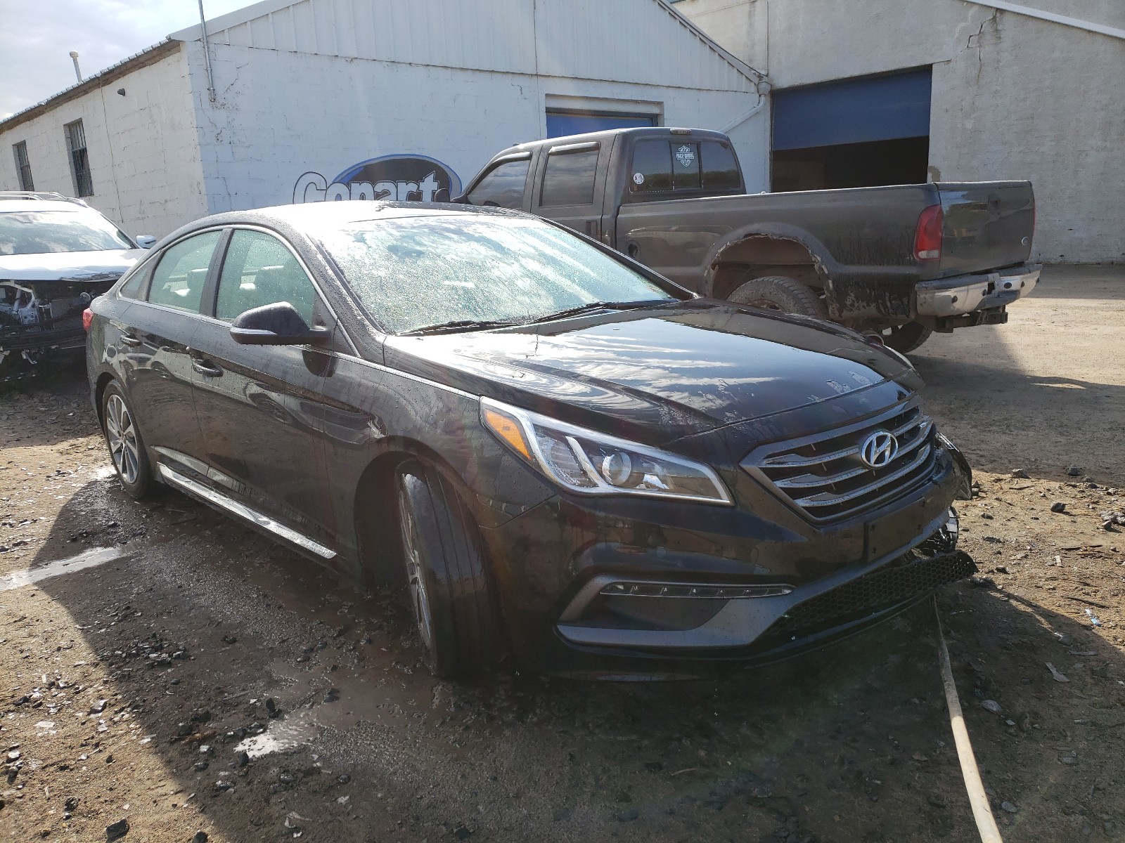 HYUNDAI SONATA SPO 2016 with VIN 5NPE34AF4GH312911 - Photo from auction