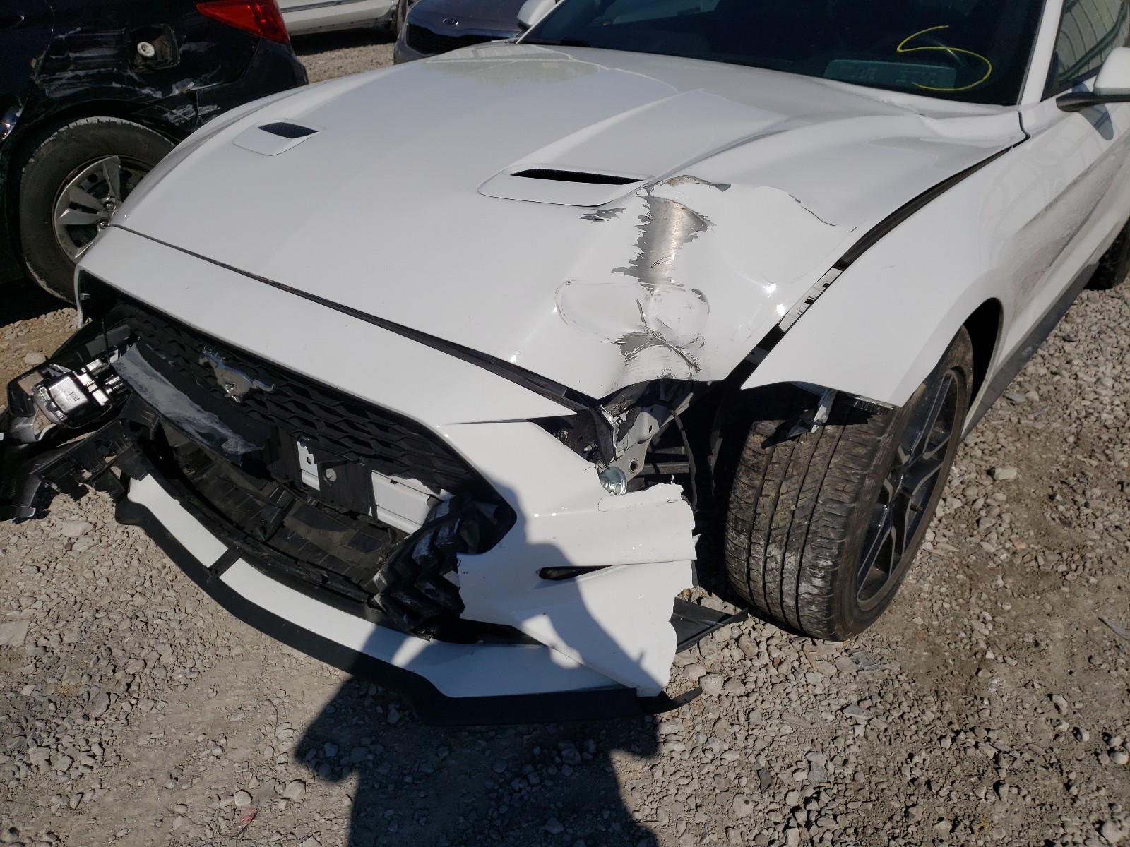 Photo 9 from auction – 2019 FORD MUSTANG with VIN 1FA6P8TH7K5172642