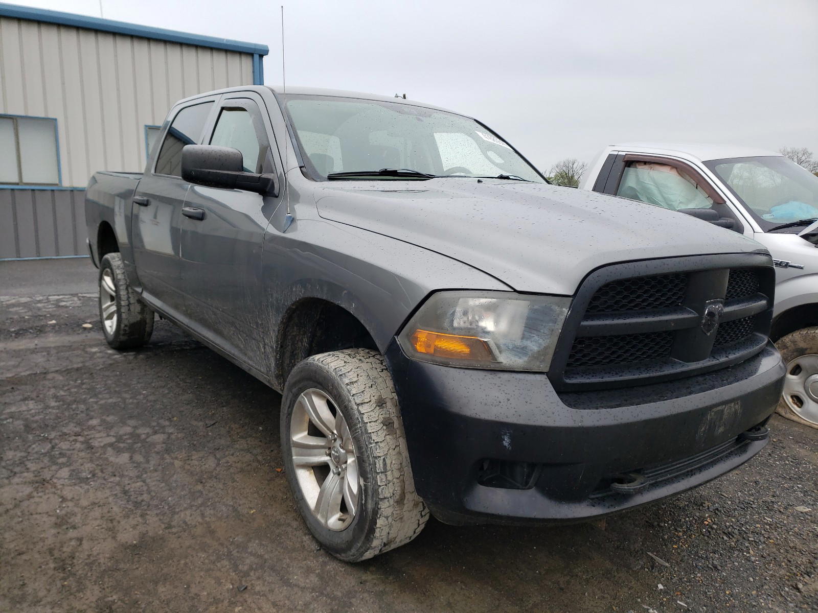 DODGE RAM 1500 2009 with VIN 1D3HV13P99S792385 - Photo from auction