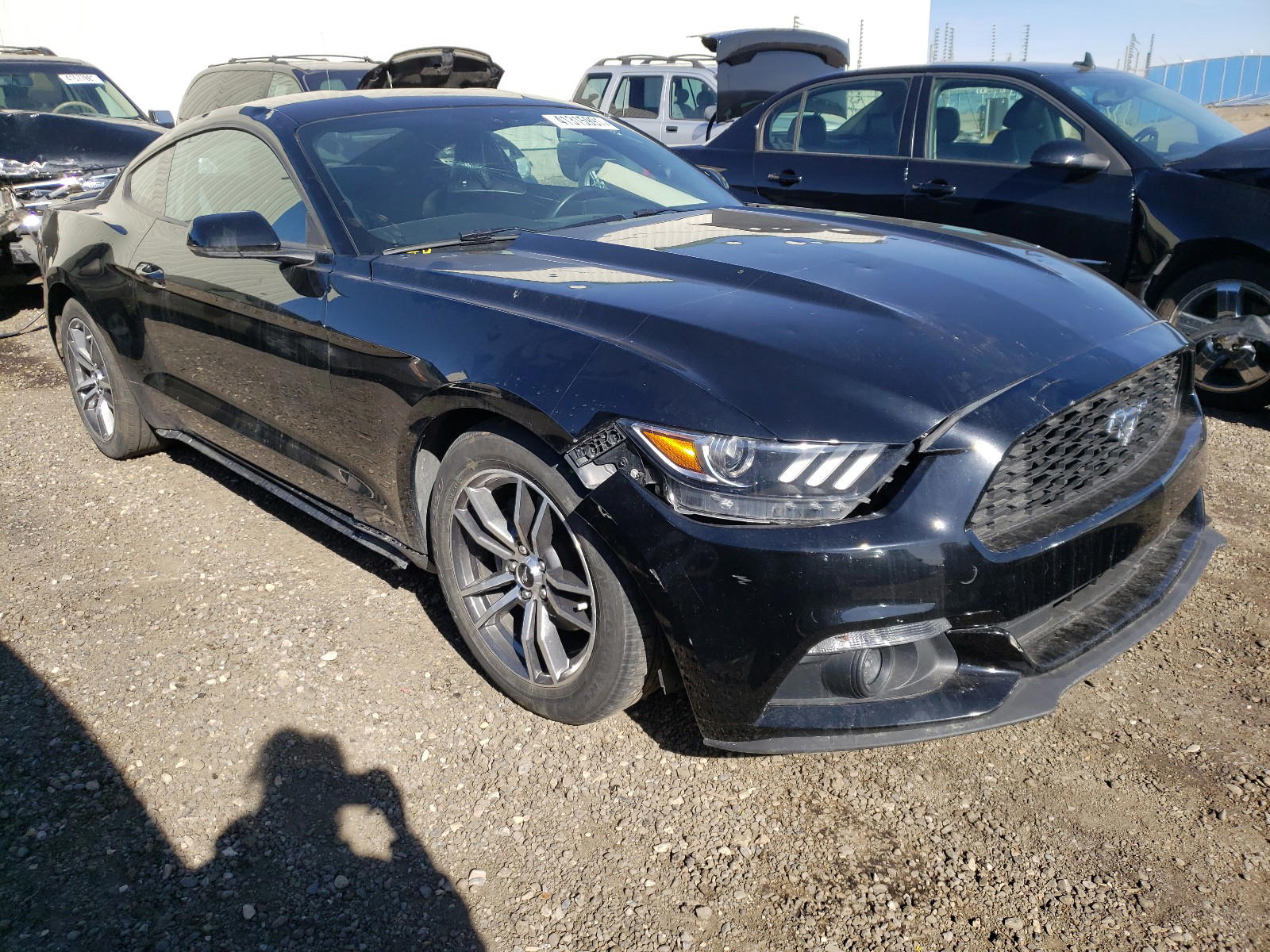 FORD MUSTANG 2016 with VIN 1FA6P8TH2G5305606 - Photo from auction