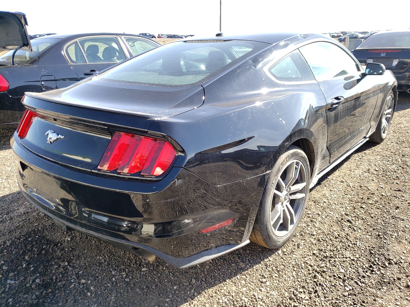 Photo 4 from auction – 2016 FORD MUSTANG with VIN 1FA6P8TH2G5305606