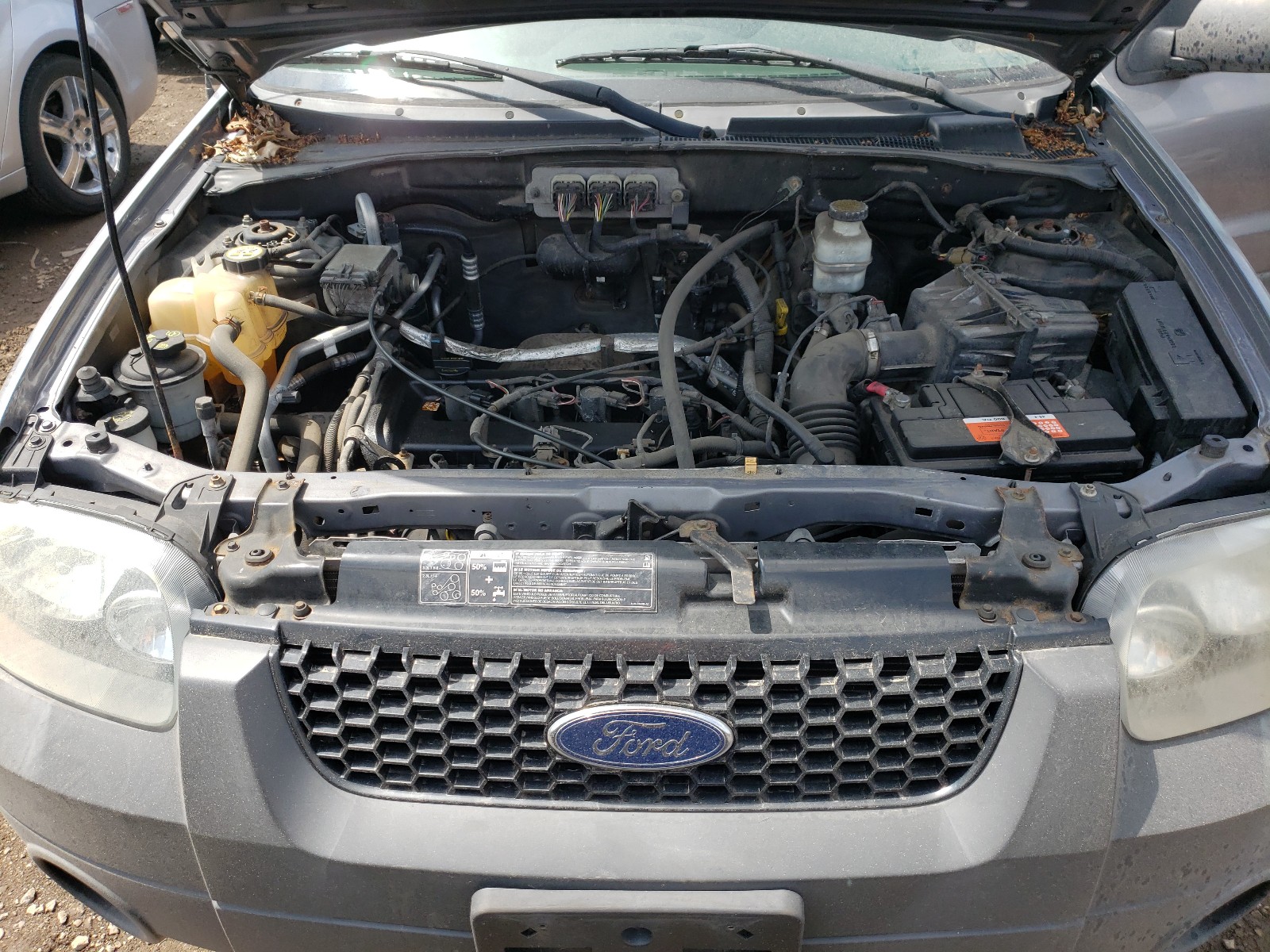 Photo 7 from auction – 2007 FORD ESCAPE with VIN 1FMYU03Z57KA76633