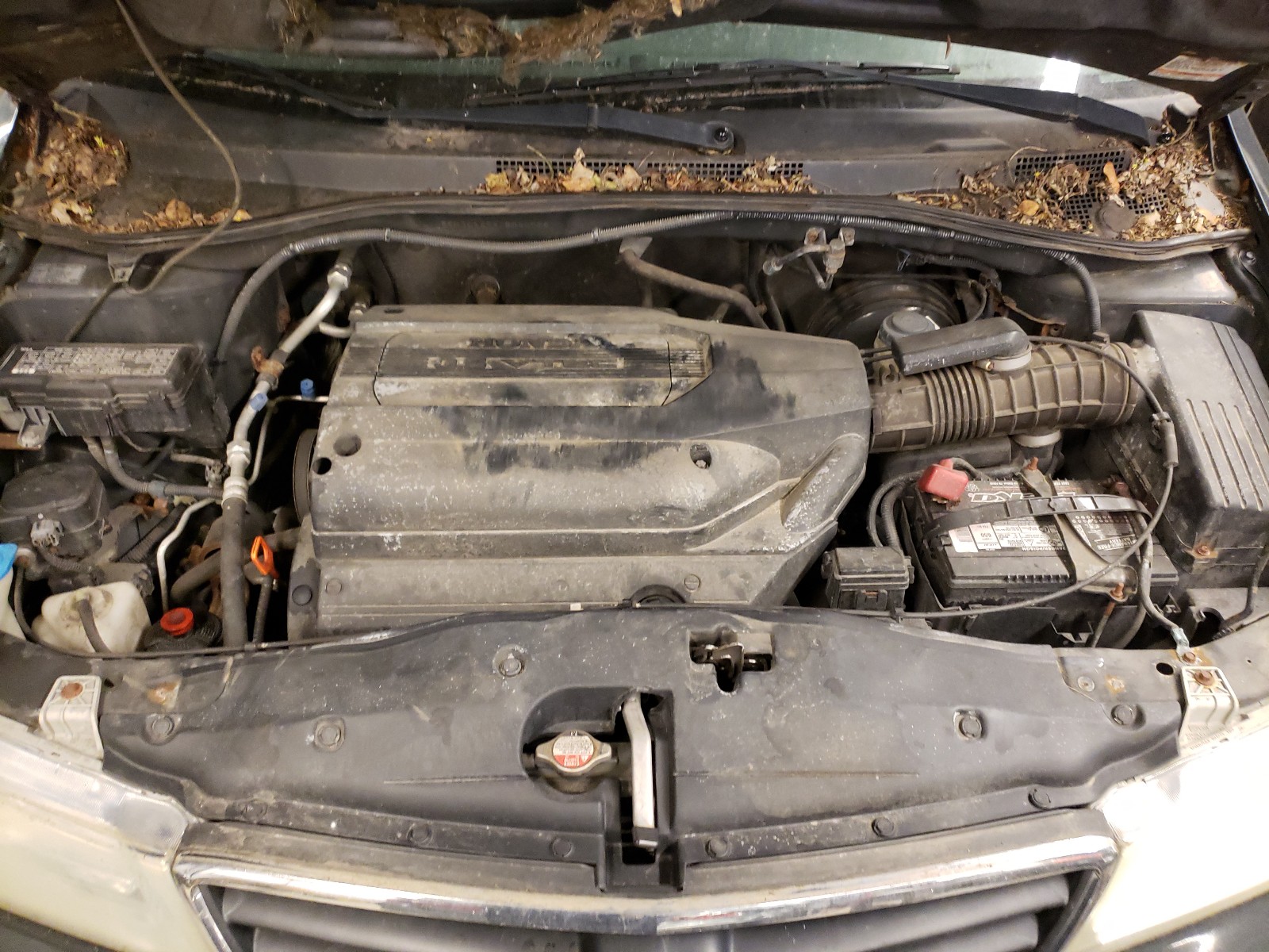Photo 7 from auction – 2004 HONDA ODYSSEY EX with VIN 5FNRL18984B040065