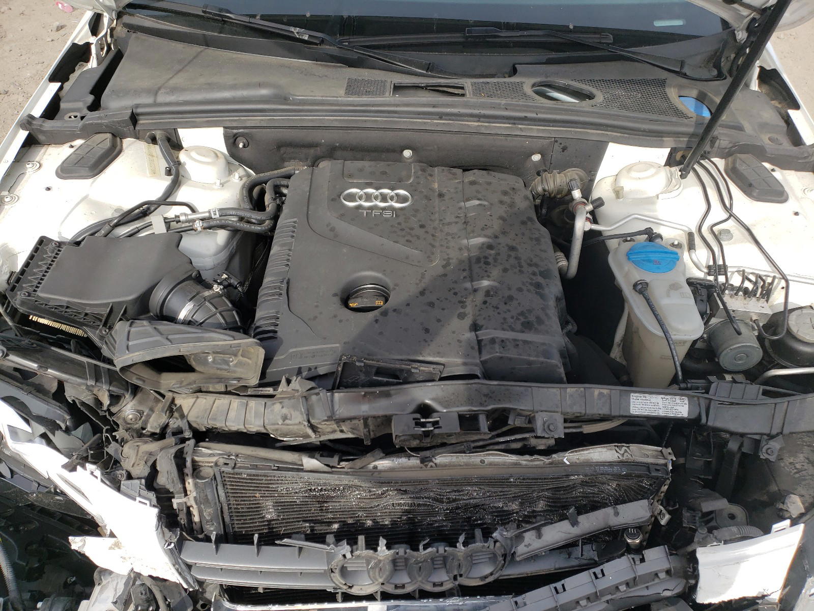 Photo 7 from auction – 2011 AUDI A4 PREMIUM with VIN WAUAFAFL0BN022786